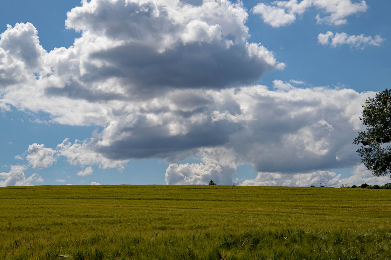 Canon EF 24-105mm F3.5-5.6 IS STM sample photo. Landscape, fields, clouds photography