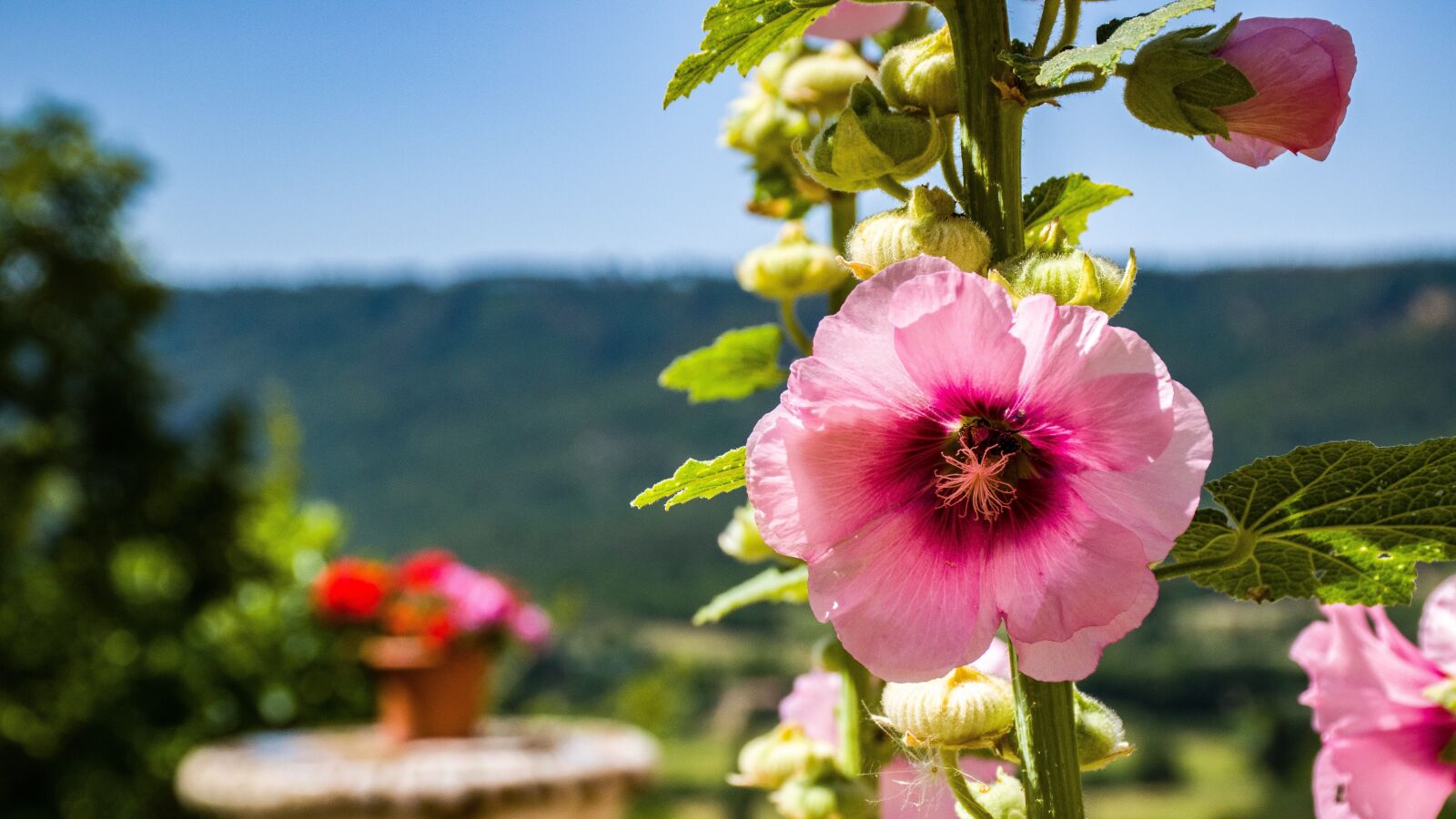 Nikon D5600 sample photo. Moustiers-sainte-marie, france, provence photography