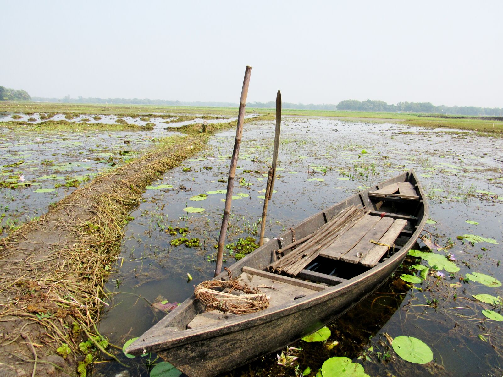 Canon PowerShot SX530 HS sample photo. Boat, water, abandoned boat photography