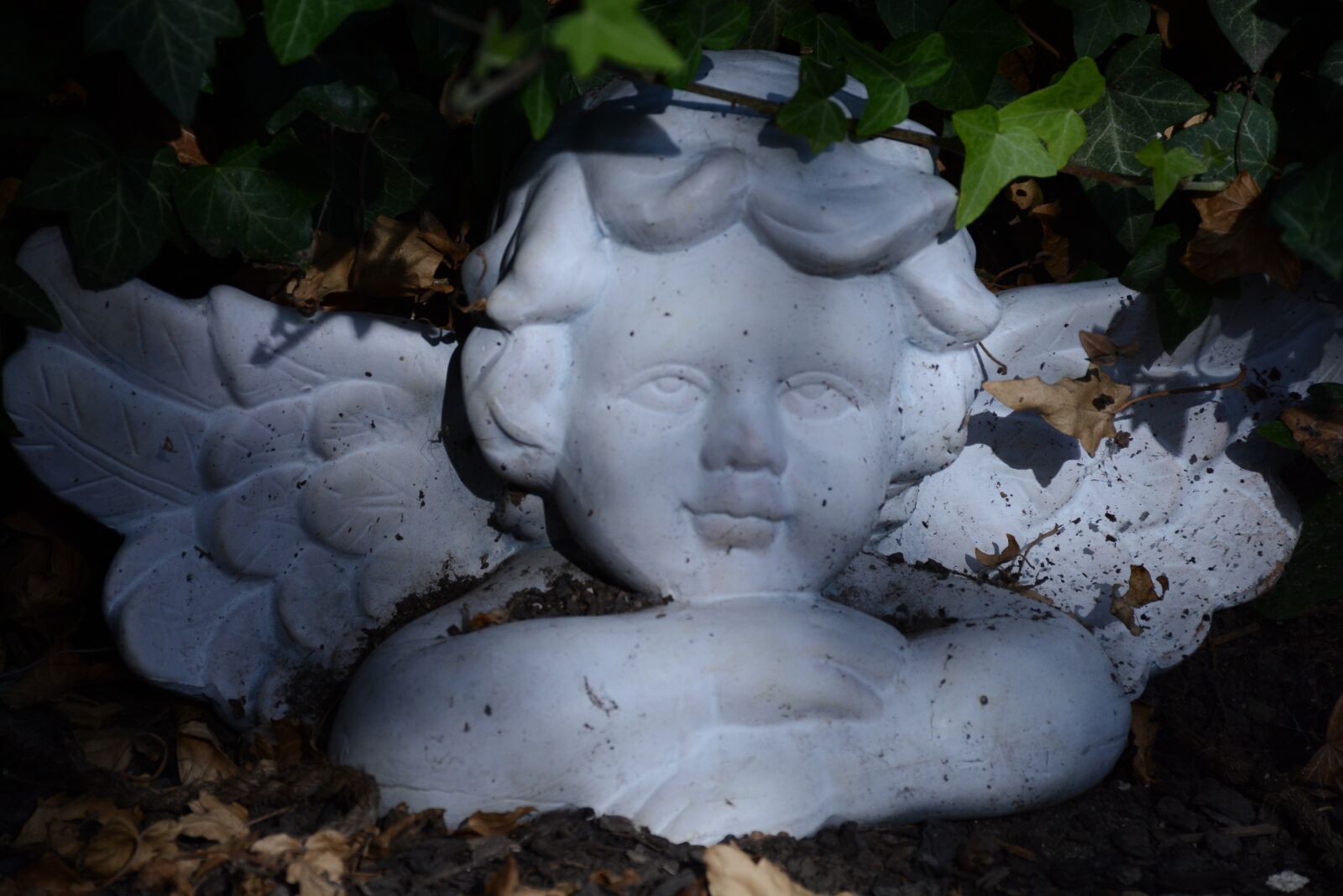 Nikon D7100 sample photo. Angel, white, wing photography