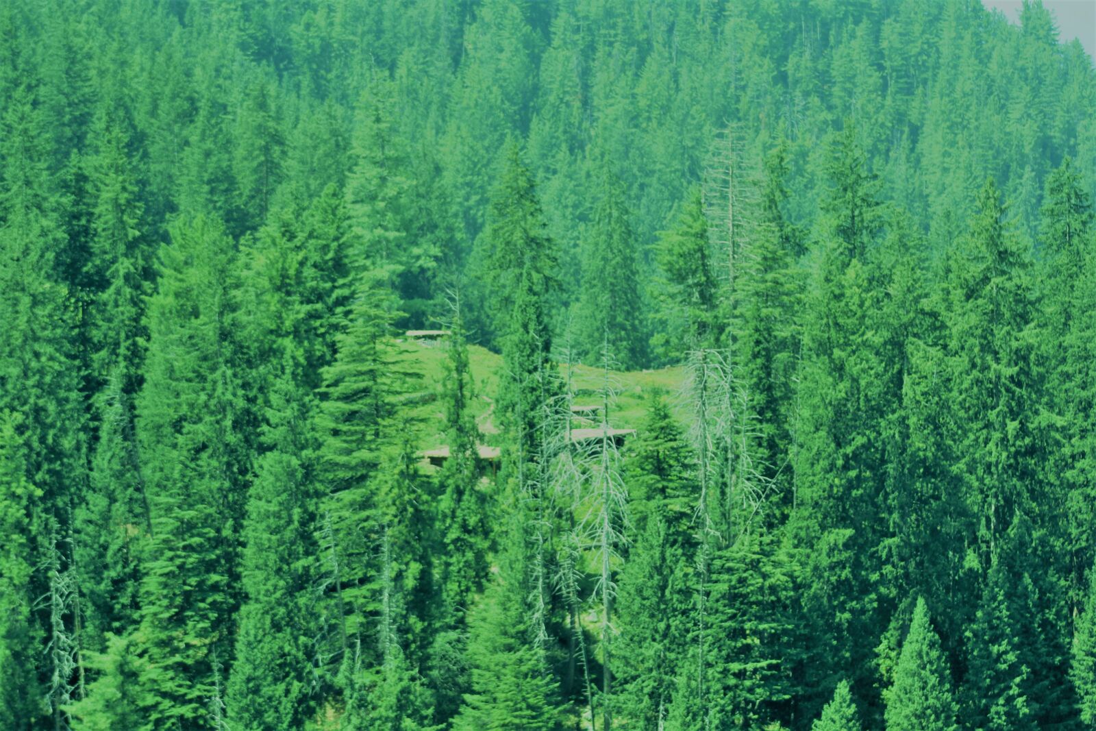 Canon EOS 550D (EOS Rebel T2i / EOS Kiss X4) sample photo. Kumrat, jihazabanda, pakistan photography