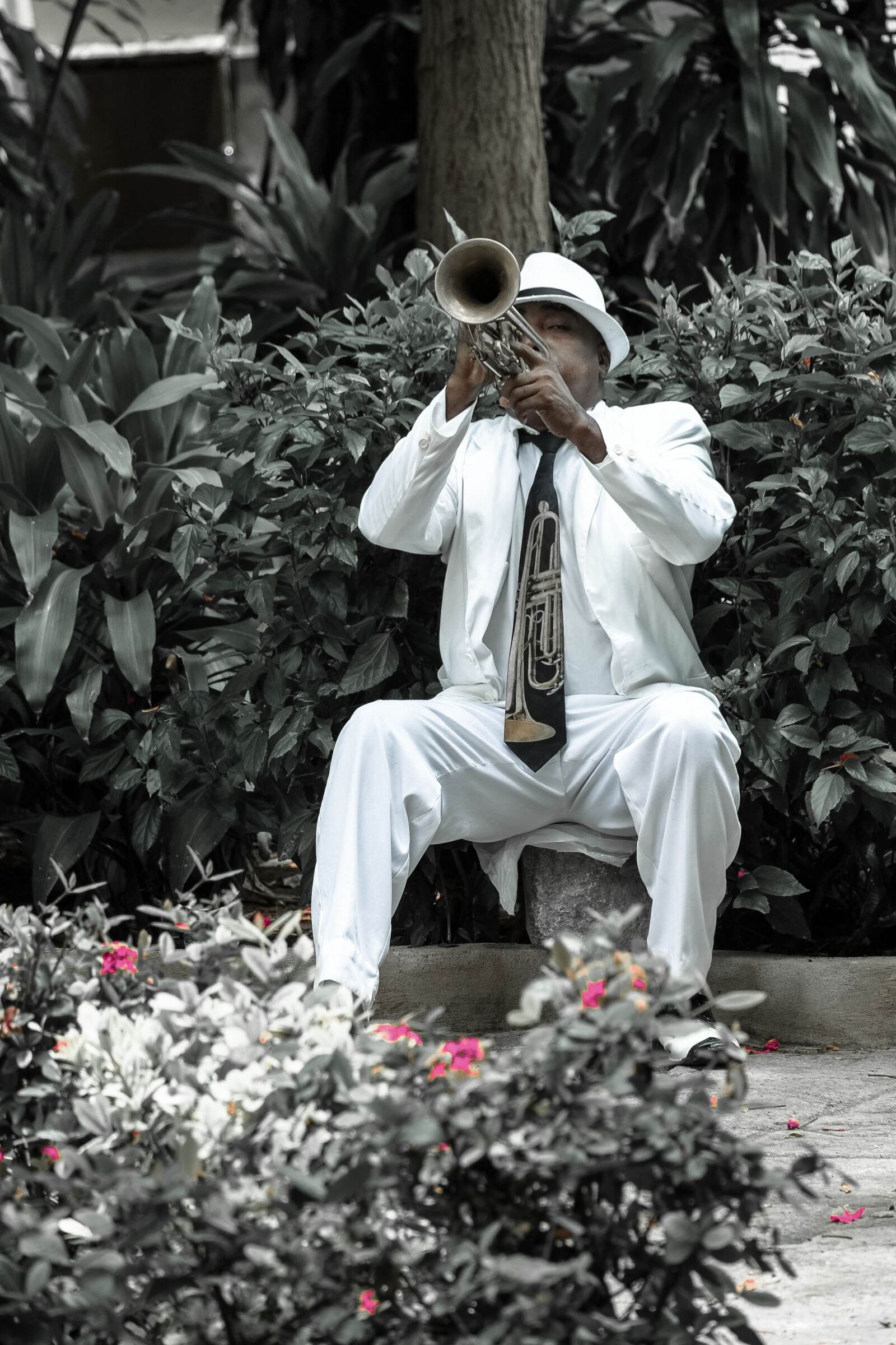 Fujifilm X-E1 sample photo. Cuba, havana, trumpeter photography