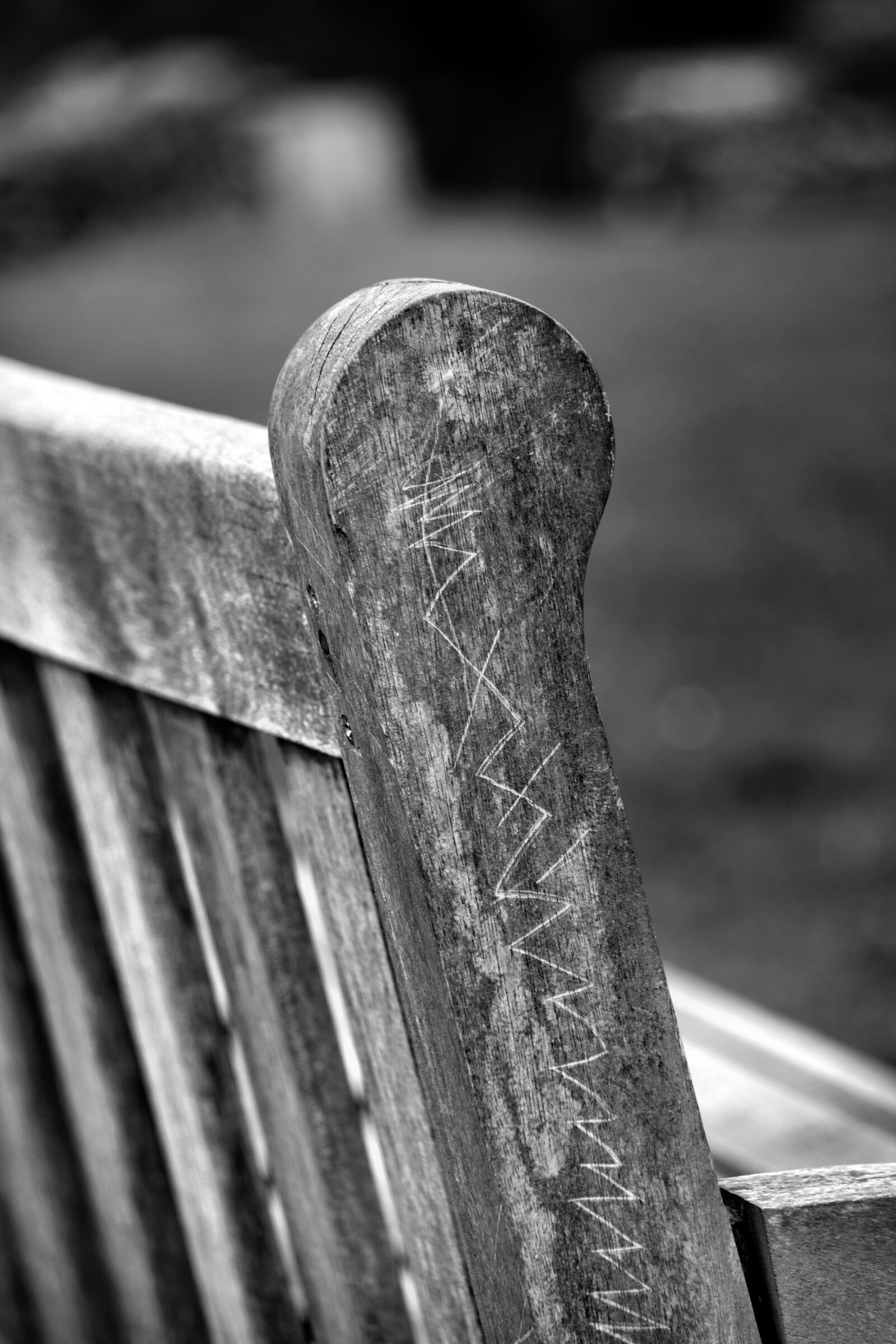 Nikon D5200 sample photo. Bench, park, wood photography