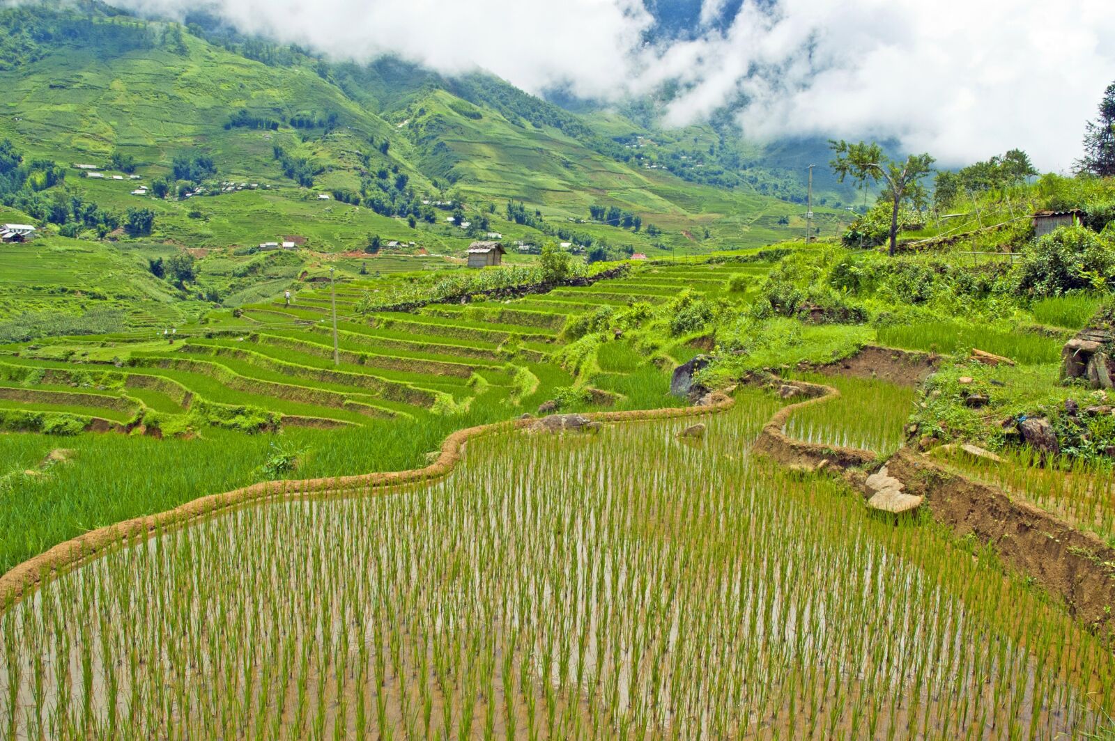 Nikon D70 sample photo. Vietnam, sapa, travel photography