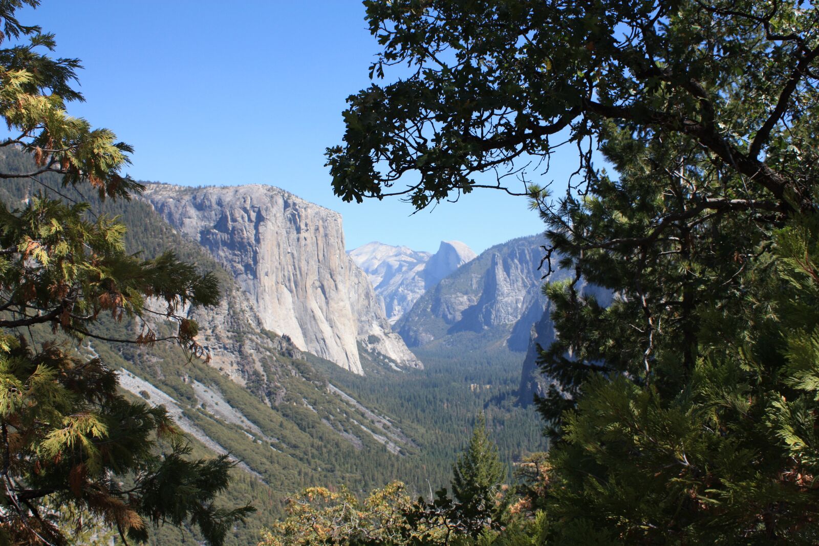 Canon EOS 450D (EOS Rebel XSi / EOS Kiss X2) sample photo. Yosemite, national, park photography