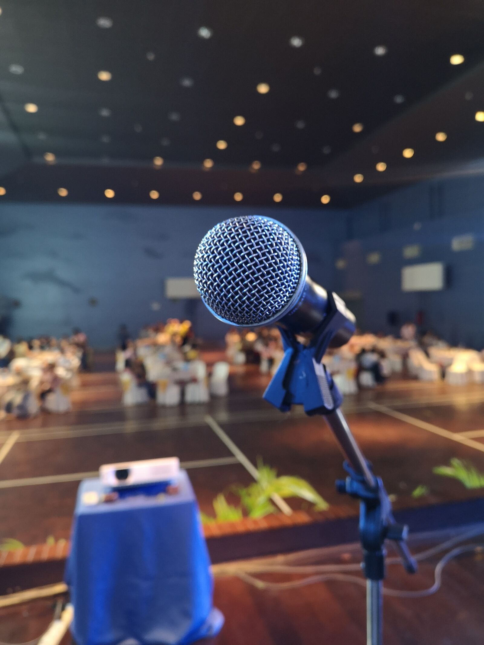 HUAWEI CLT-L29 sample photo. Microphones, microphone, party photography