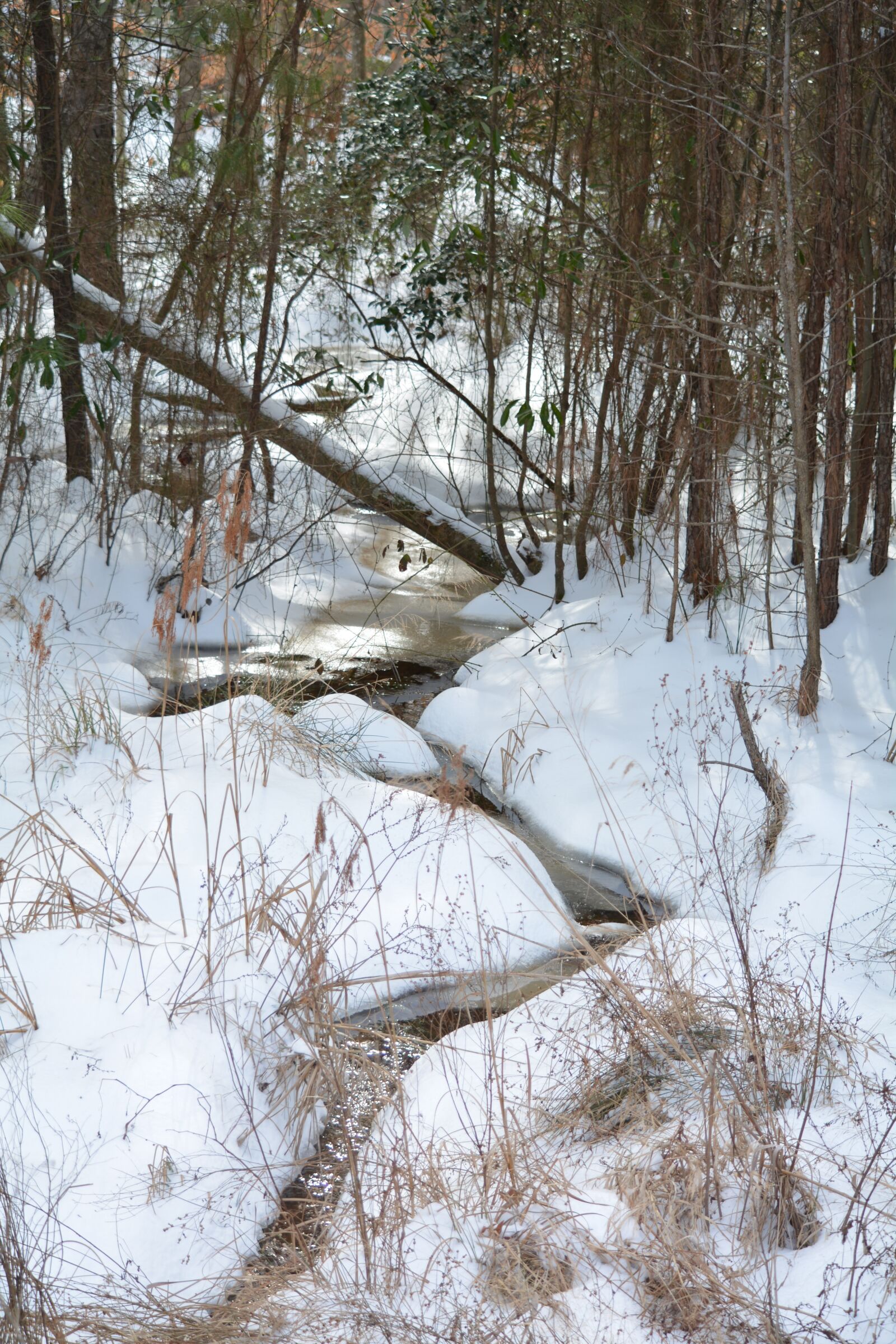 Nikon D7100 sample photo. Creek, winter, forest photography