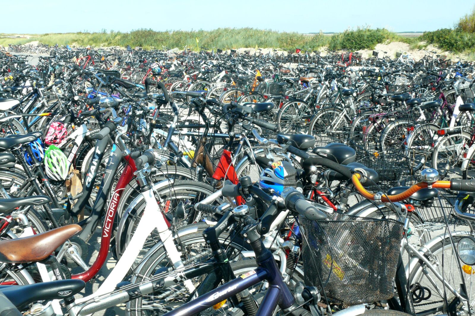 Panasonic DMC-FZ50 sample photo. Bicycles, bike, parking photography