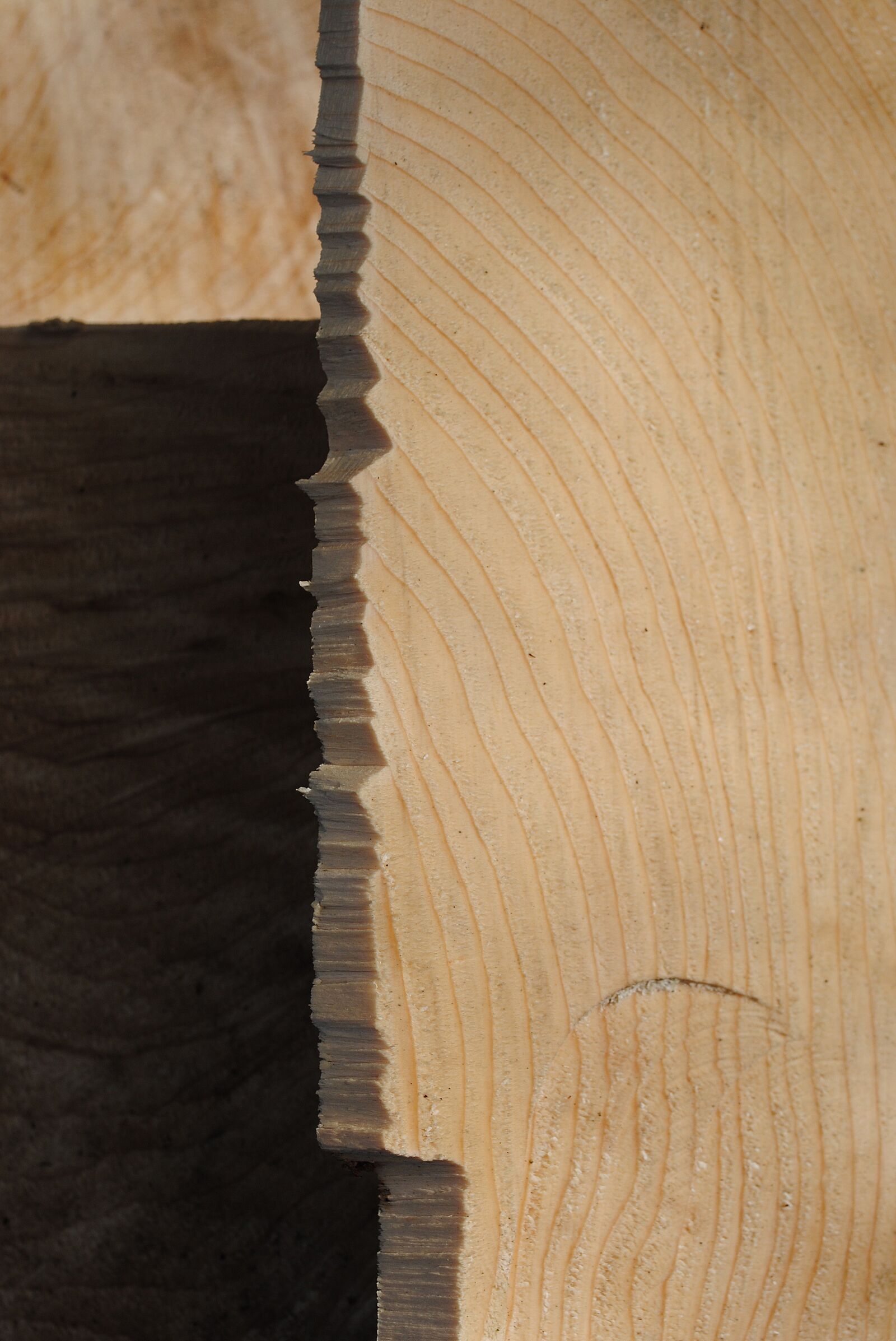 Nikon D3000 sample photo. Wood, tranche, broken photography