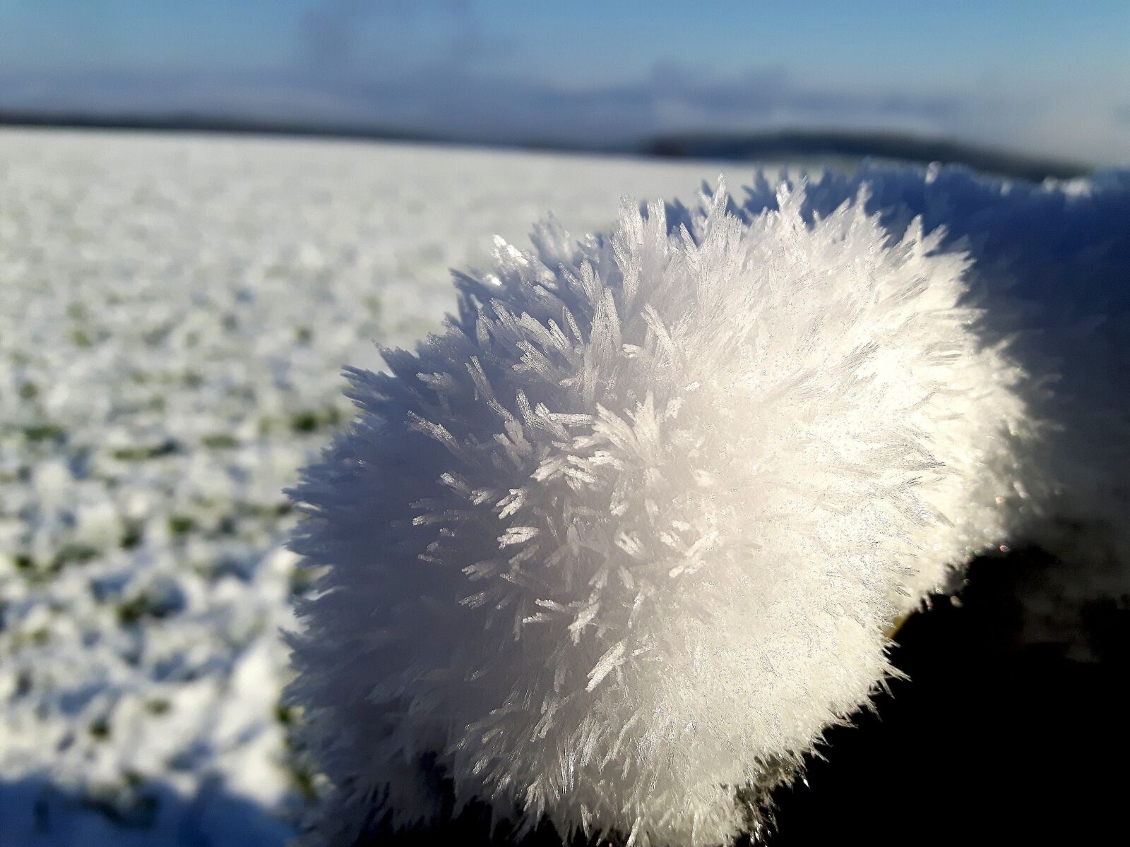 Samsung Galaxy S5 Neo sample photo. Ice flowers, snow, ice photography