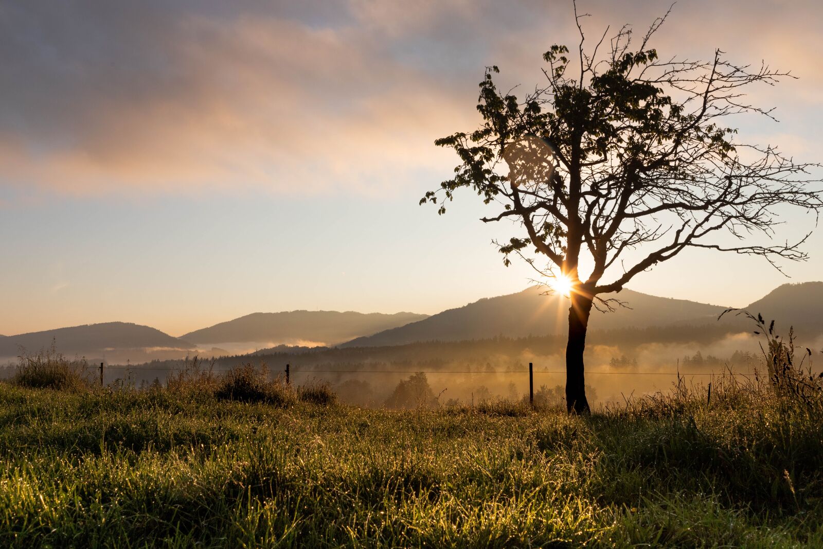Canon EOS 6D Mark II sample photo. Sunrise, landscape, nature photography