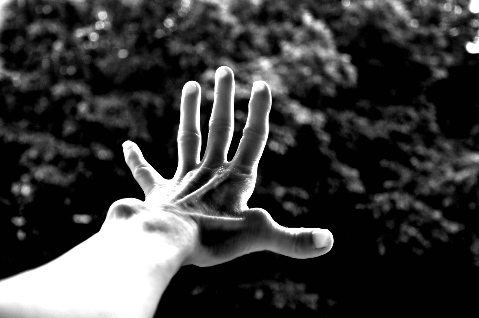Nikon D90 sample photo. Arm, black, and, white photography
