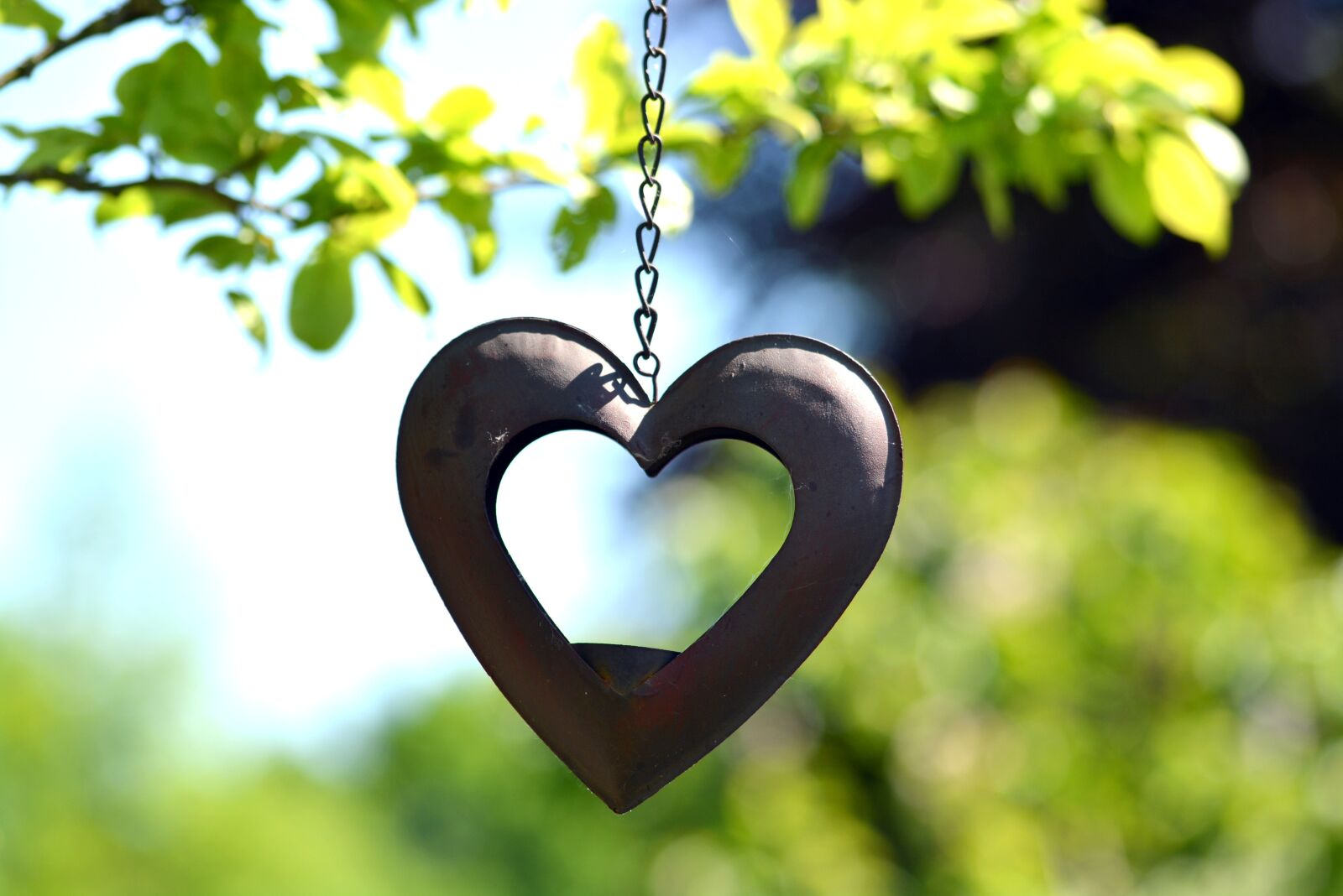 Nikon D5200 sample photo. Heart, deco, gartendeko photography
