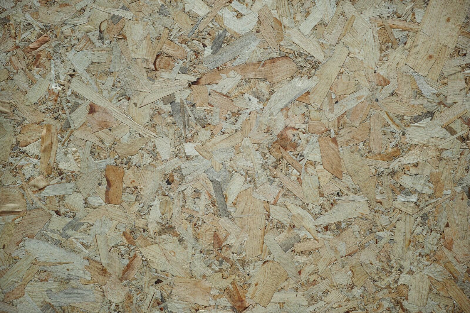 Sigma DP3 Merrill sample photo. Wood, timber, pres photography