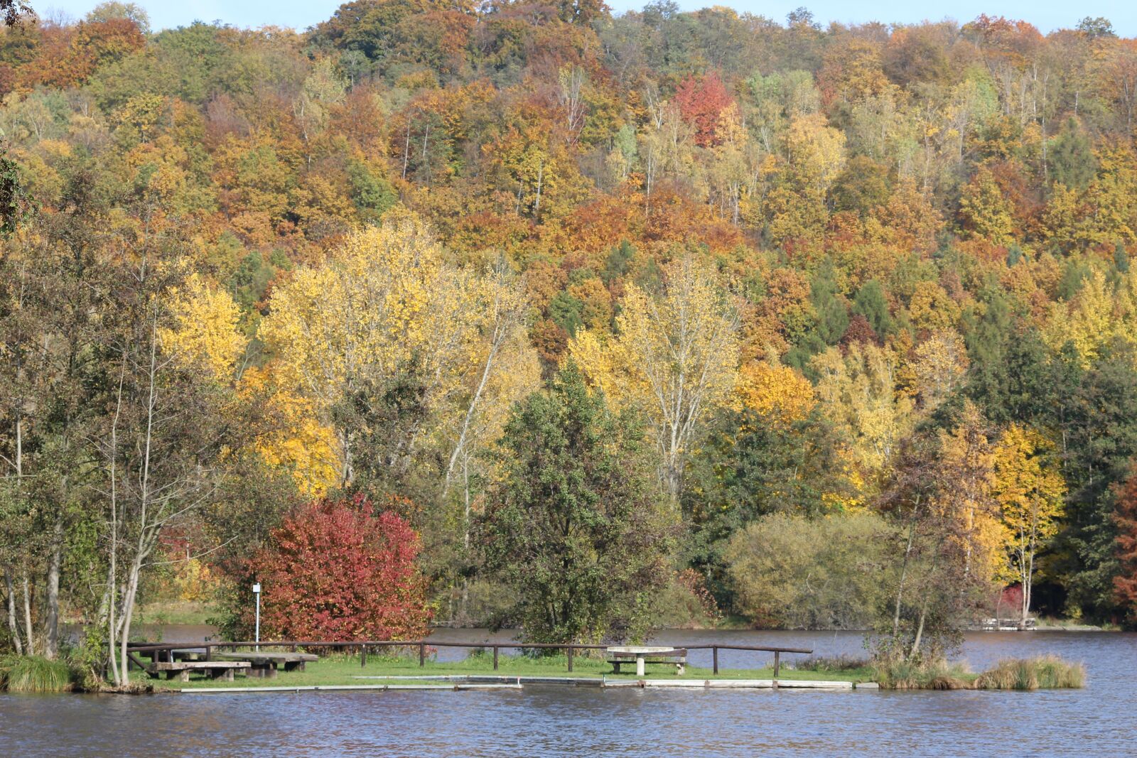 Canon EOS 600D (Rebel EOS T3i / EOS Kiss X5) sample photo. Vienenburger pond, pond, water photography