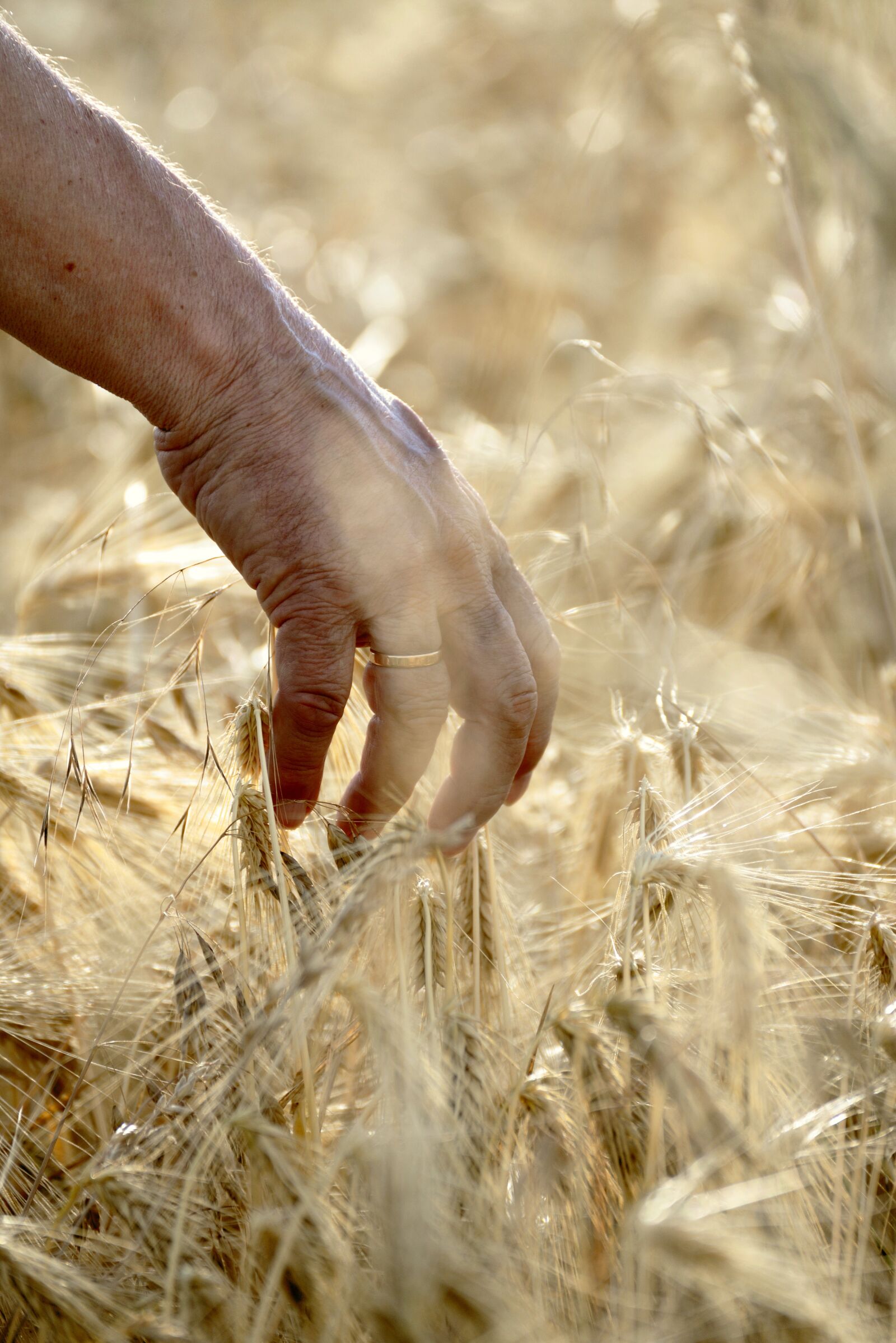 Nikon D610 sample photo. Hand, human, man photography