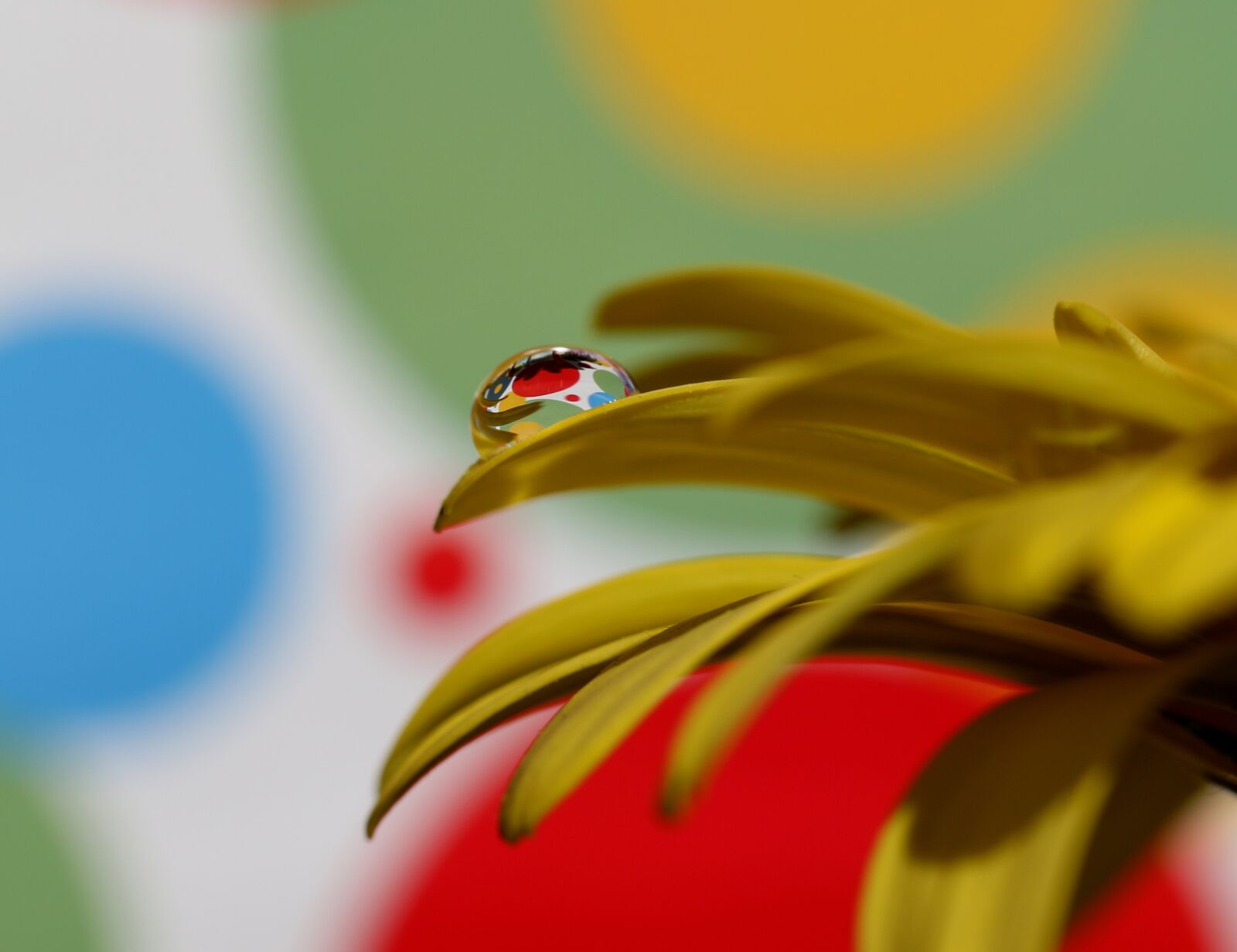 Canon EF-S 60mm F2.8 Macro USM sample photo. Drops, water, macro photography
