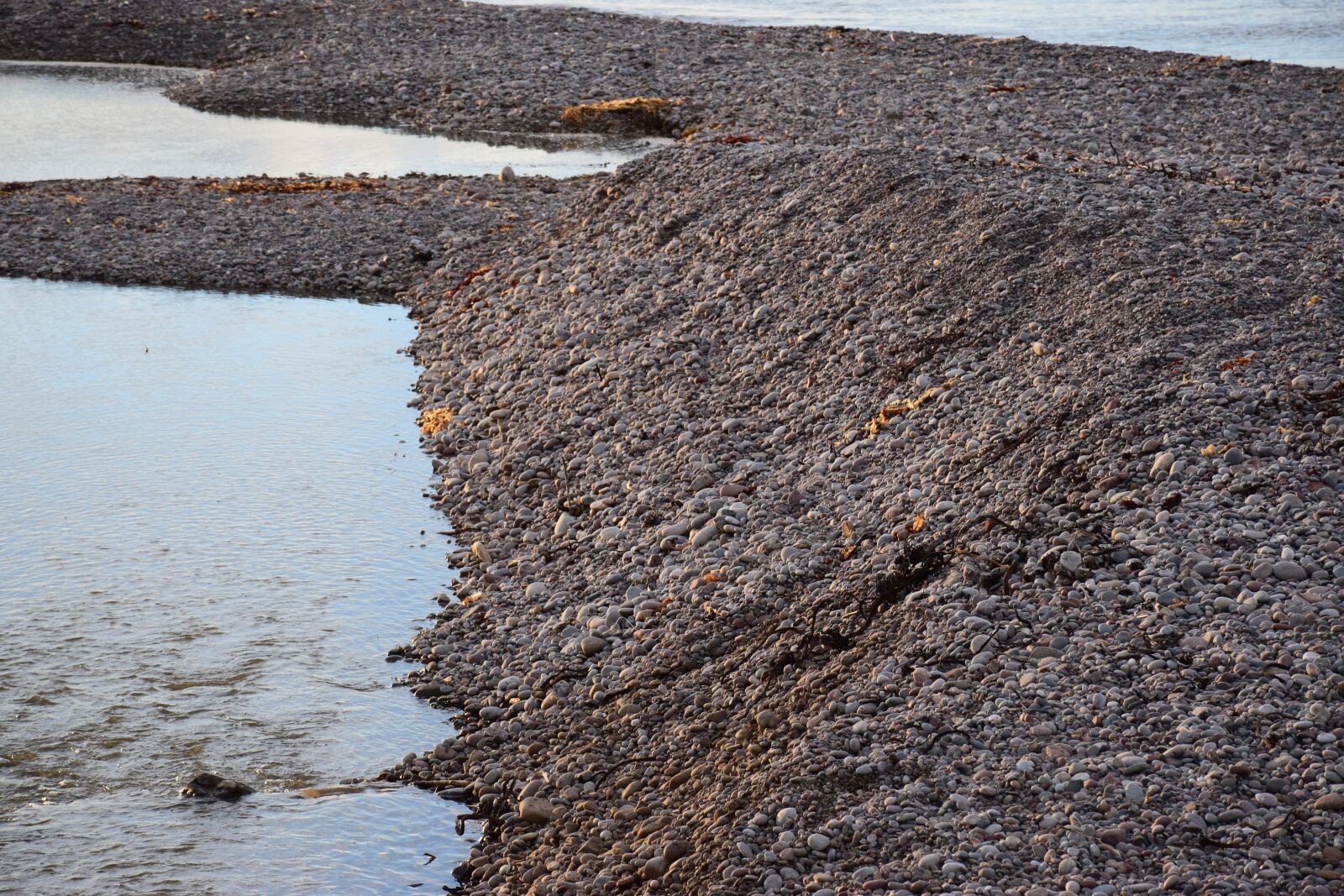 Nikon D5300 sample photo. New aberdour beach, scotland photography