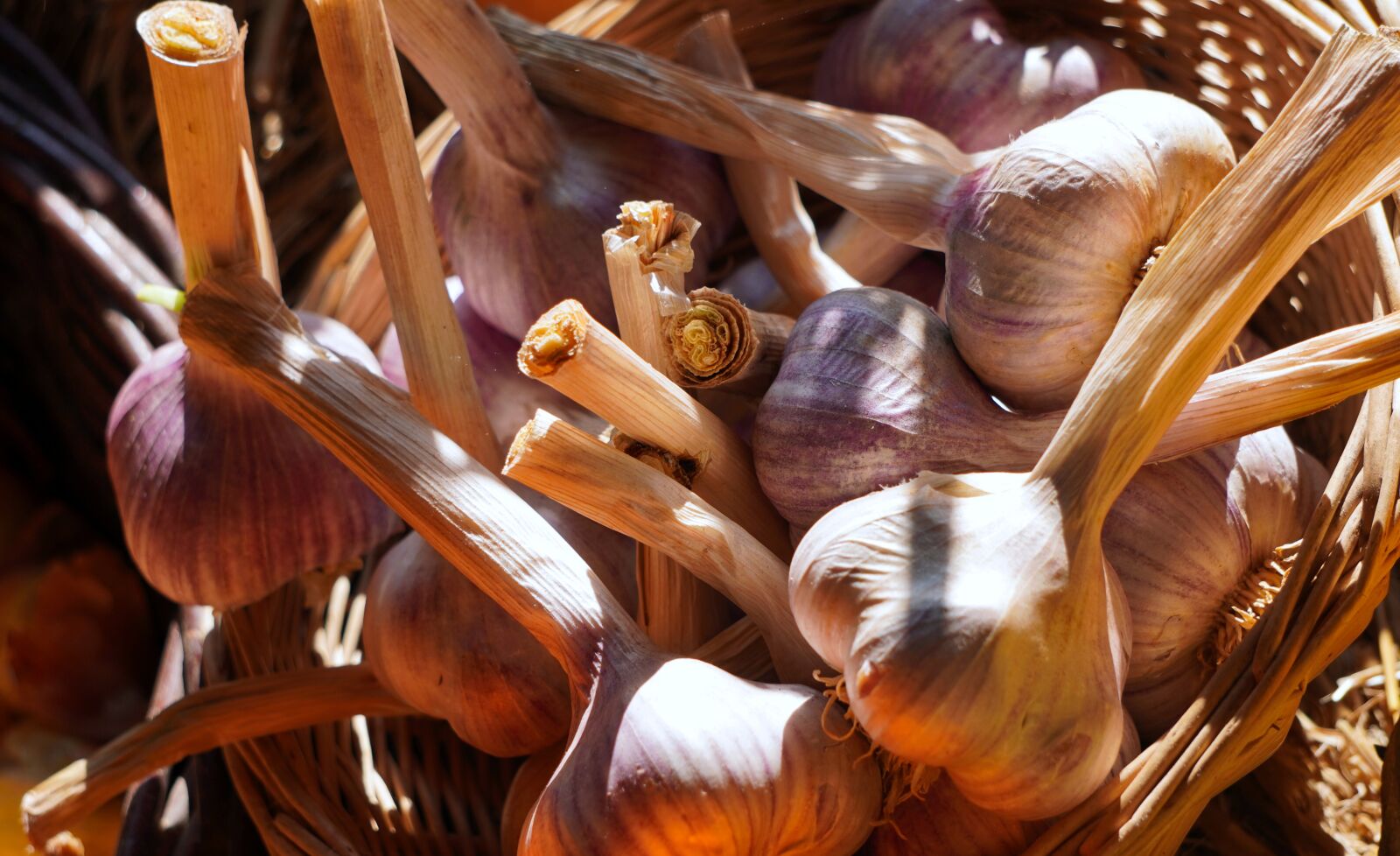 Sony E 55-210mm F4.5-6.3 OSS sample photo. Garlic, tubers, food photography