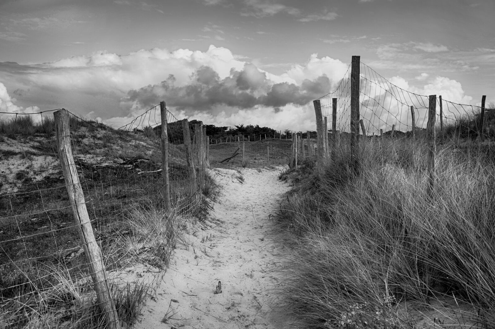 Nikon D700 sample photo. Black and white, dunes photography