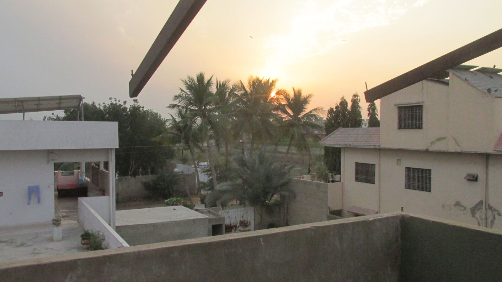 Canon PowerShot SX170 IS sample photo