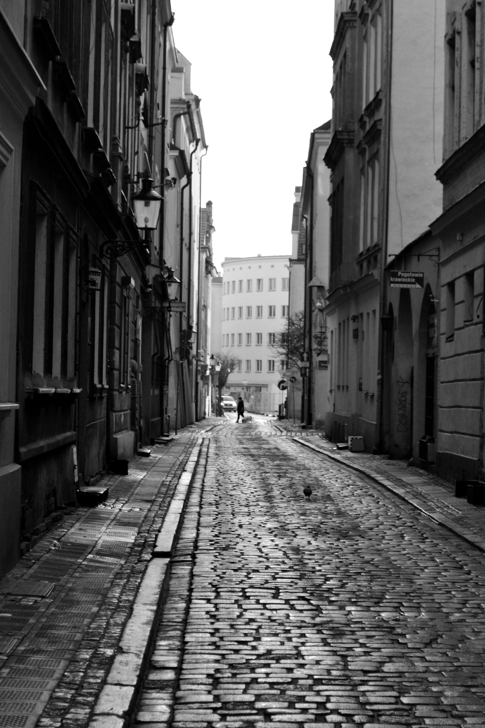 Nikon D3100 sample photo. Street, city, walkway photography
