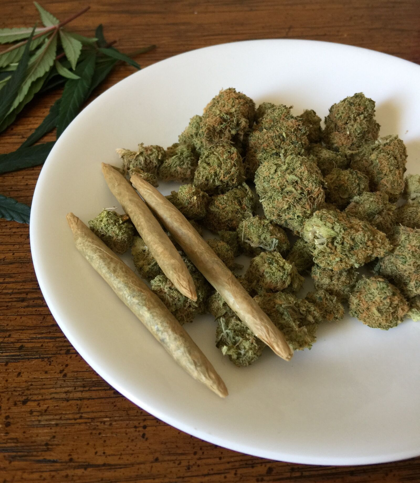 iPhone 6 Plus back camera 4.15mm f/2.2 sample photo. Cannabis, marijuana, weed photography