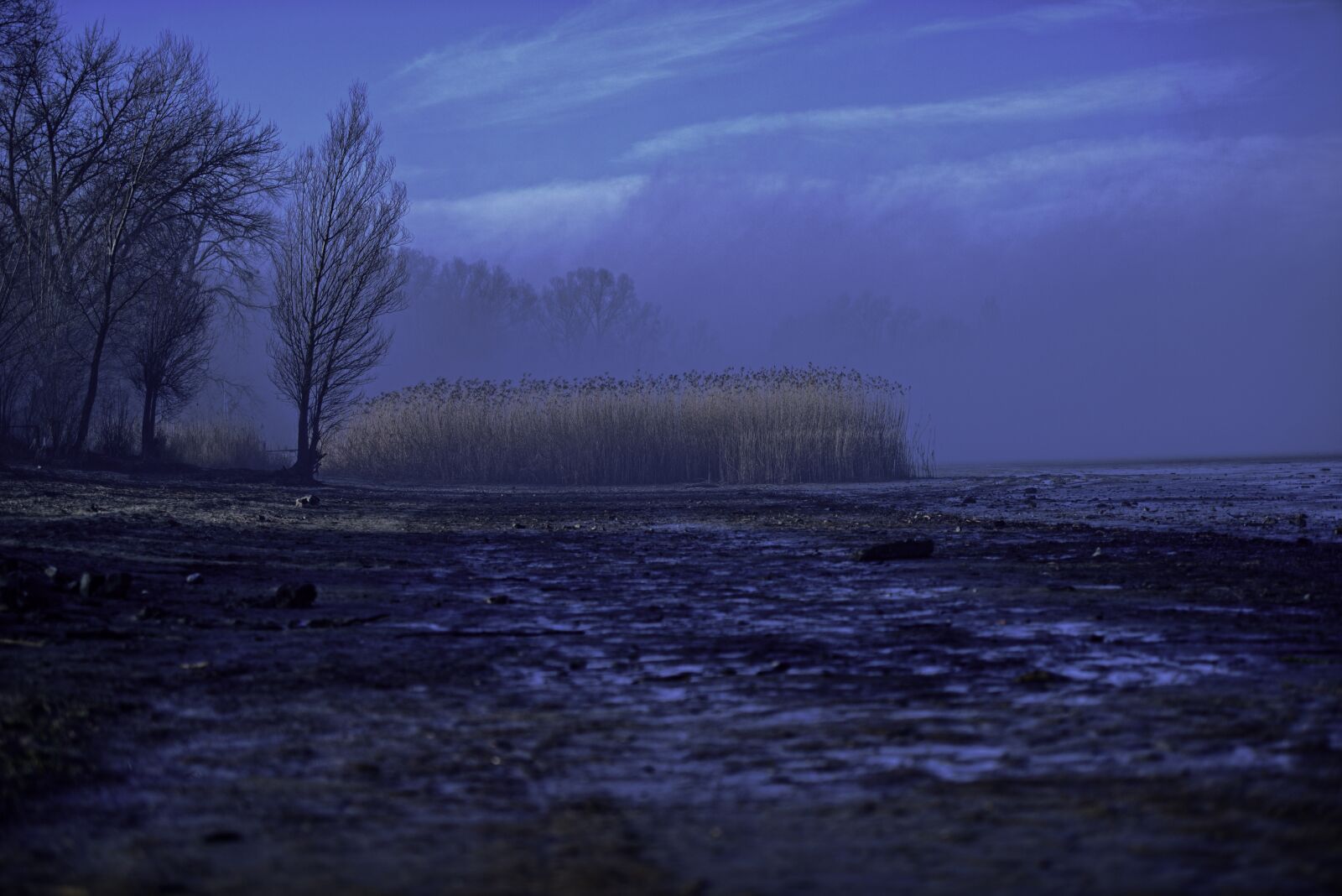 Nikon D800E sample photo. Fog, sunrise, landscape photography