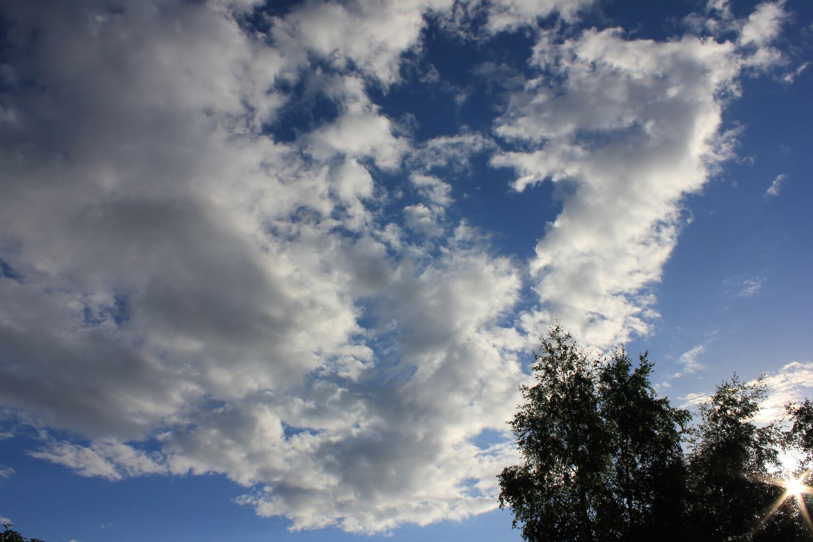 Canon EOS 550D (EOS Rebel T2i / EOS Kiss X4) sample photo. Tree, sky, clouds photography