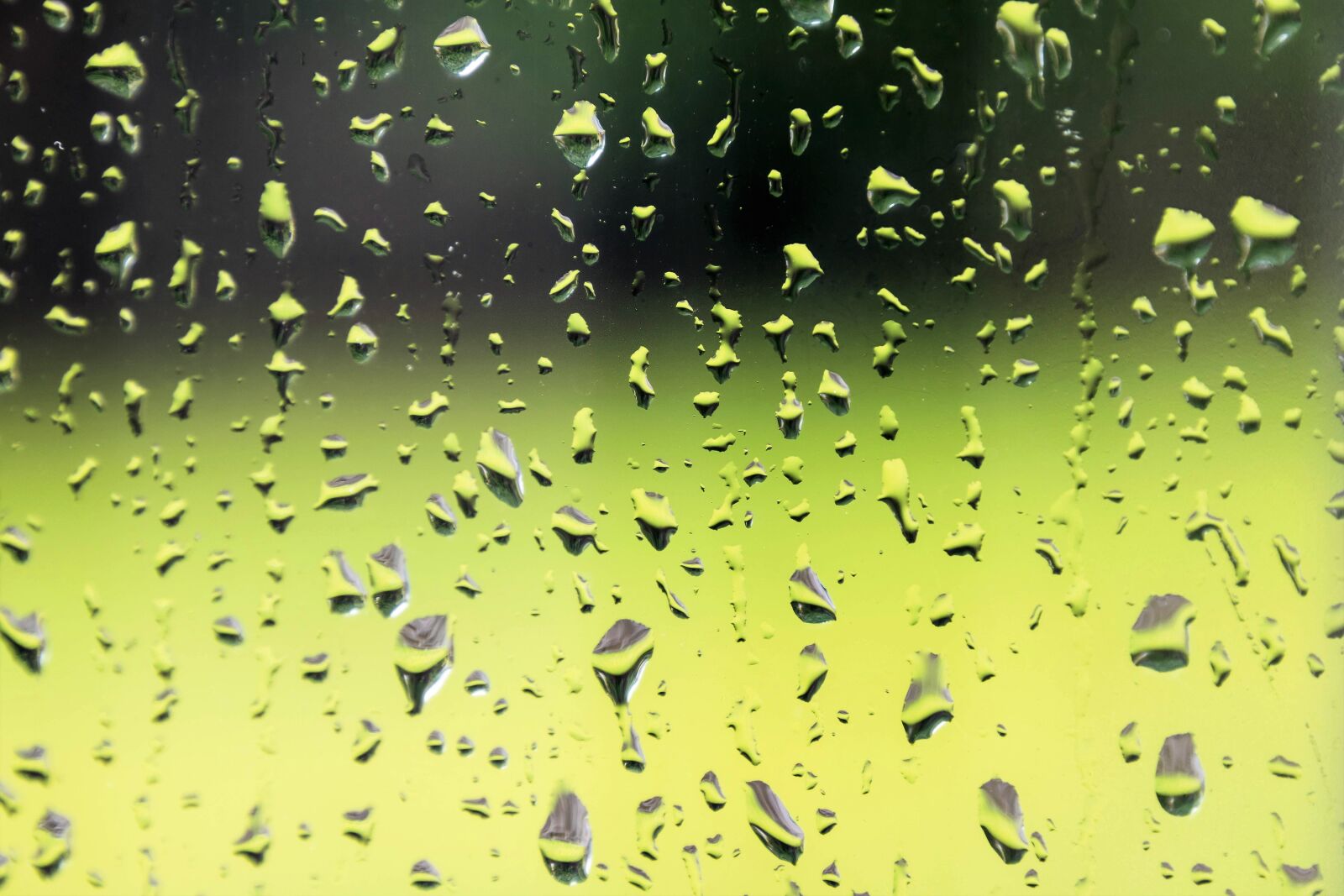Nikon D3300 sample photo. Raindrops, window, glass photography