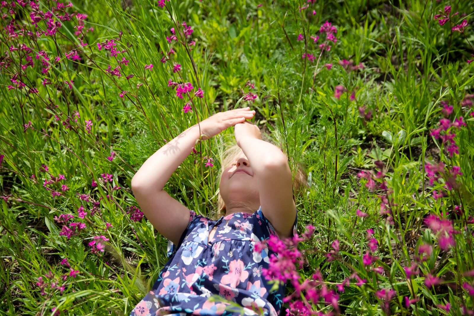 Canon EOS 700D (EOS Rebel T5i / EOS Kiss X7i) sample photo. Baby, girl, field photography
