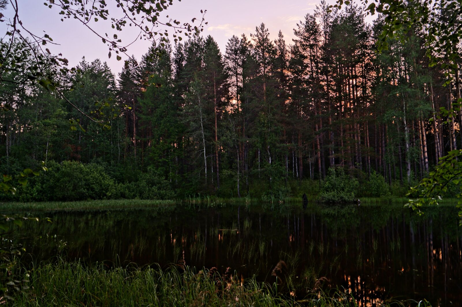 Sony SLT-A57 sample photo. Morning, dawn, silence photography