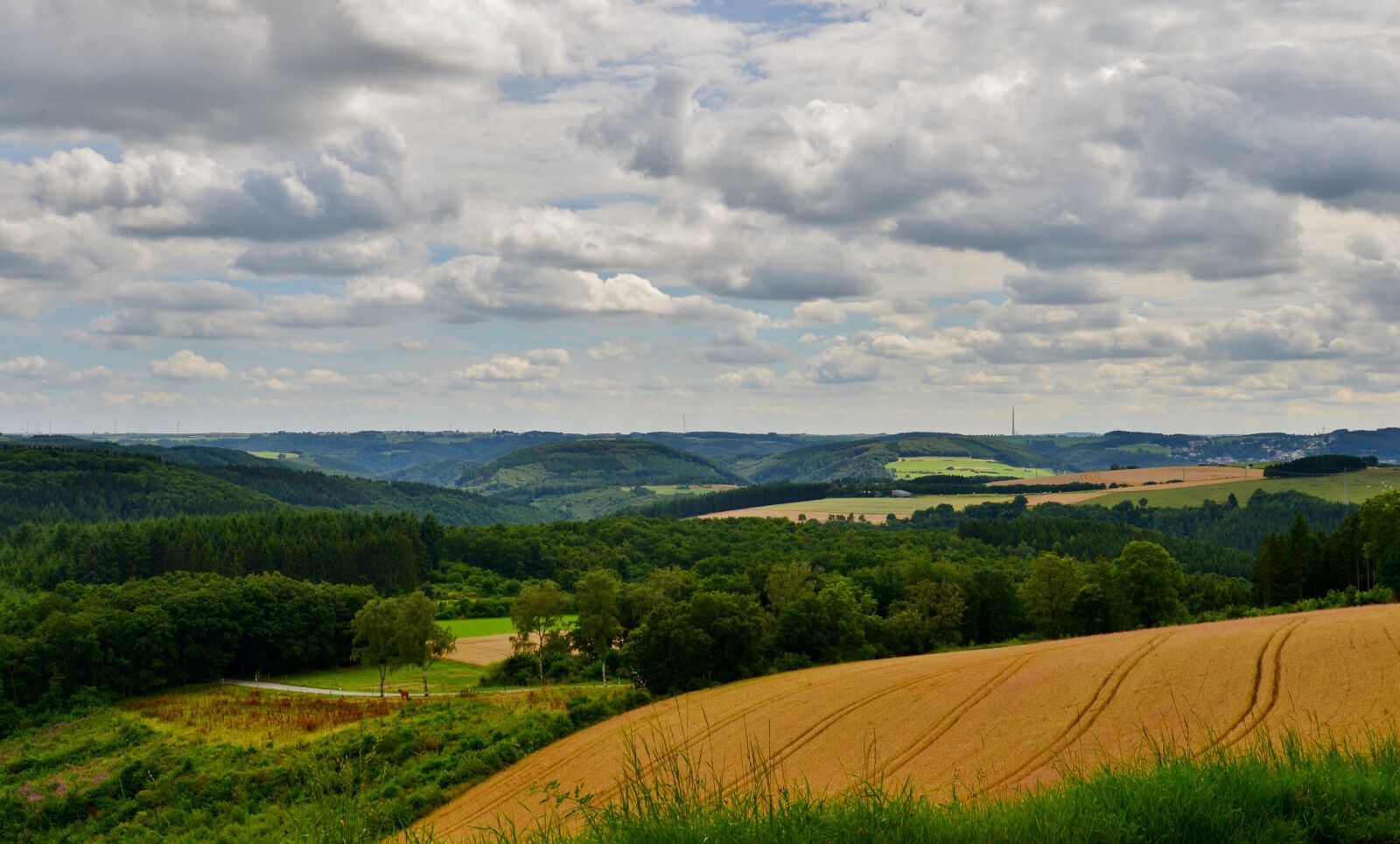 Nikon D600 sample photo. Landscape, vista, luxembourg photography