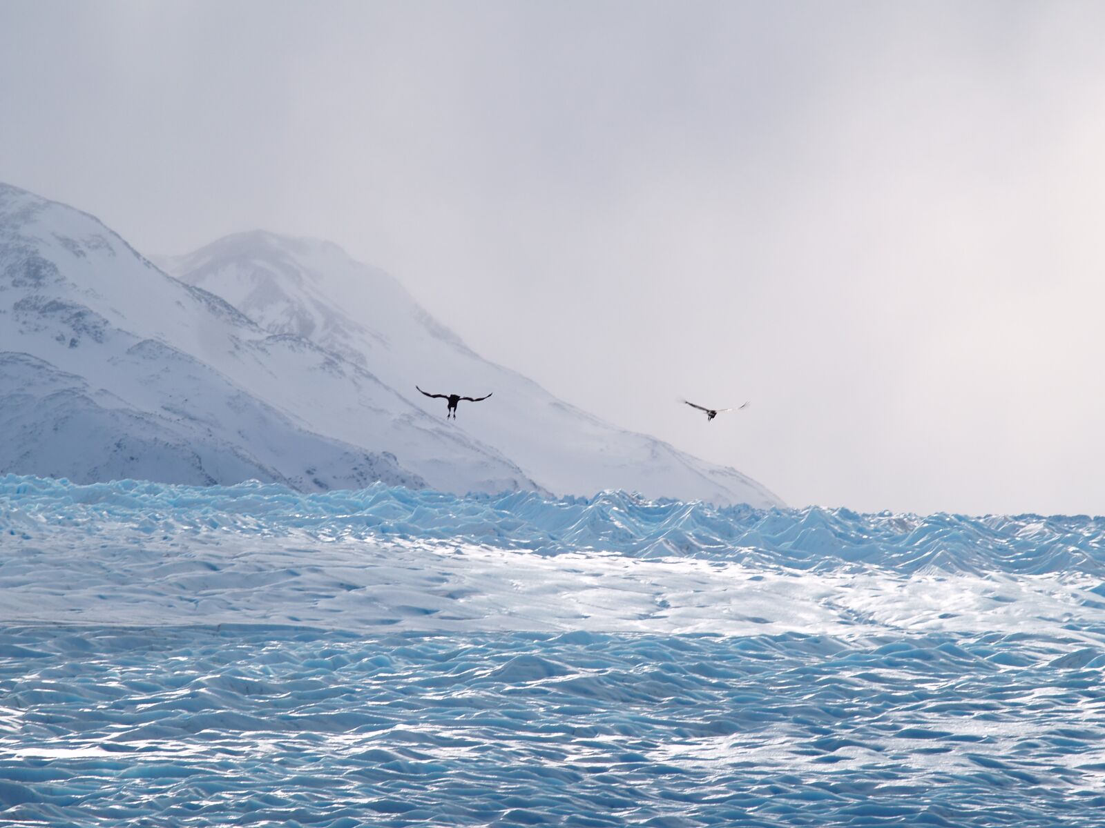 Olympus E-300 (EVOLT E-300) sample photo. Chile, glacier, patagonia photography