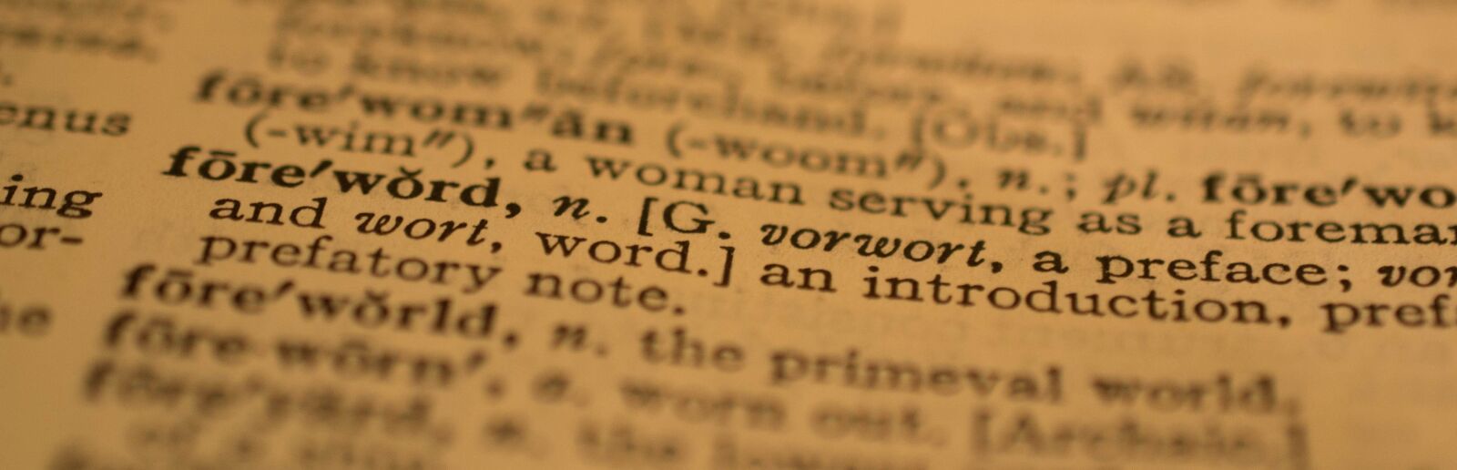 Nikon D3100 sample photo. Dictionary, words, webster photography