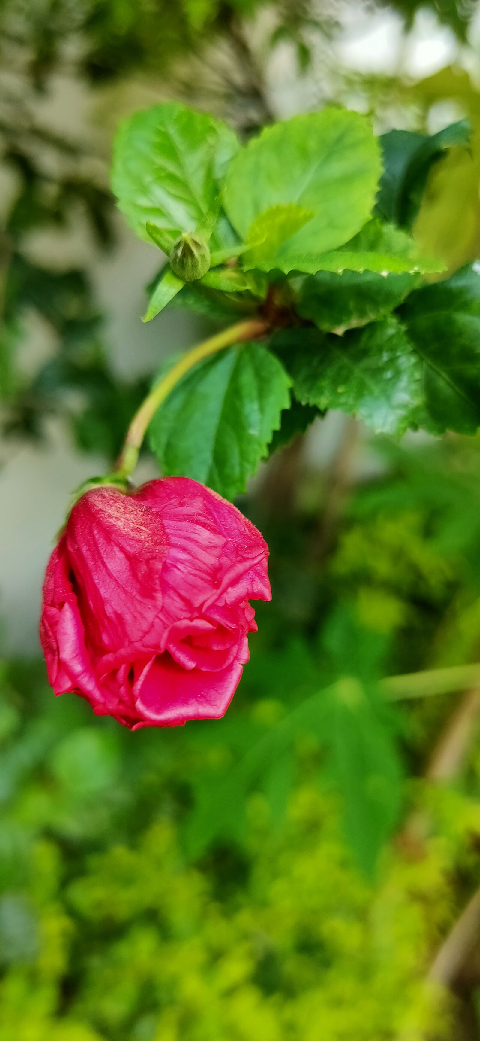 Realme XT sample photo. By, tiwari, rahulmukesh photography