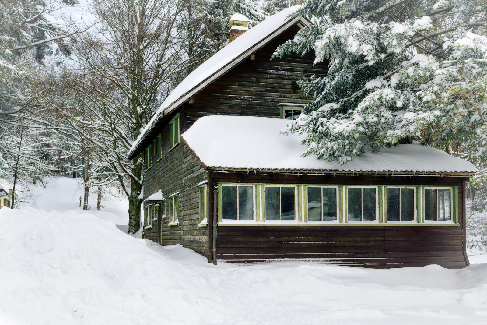 Sony a6000 + Sigma 30mm F2.8 EX DN sample photo. Bungalow, cold, forest, freezing photography