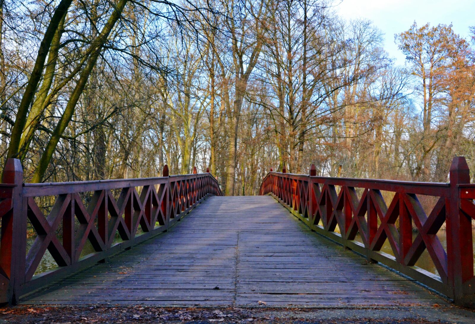 Nikon D7100 sample photo. Bridge, wood, nature photography
