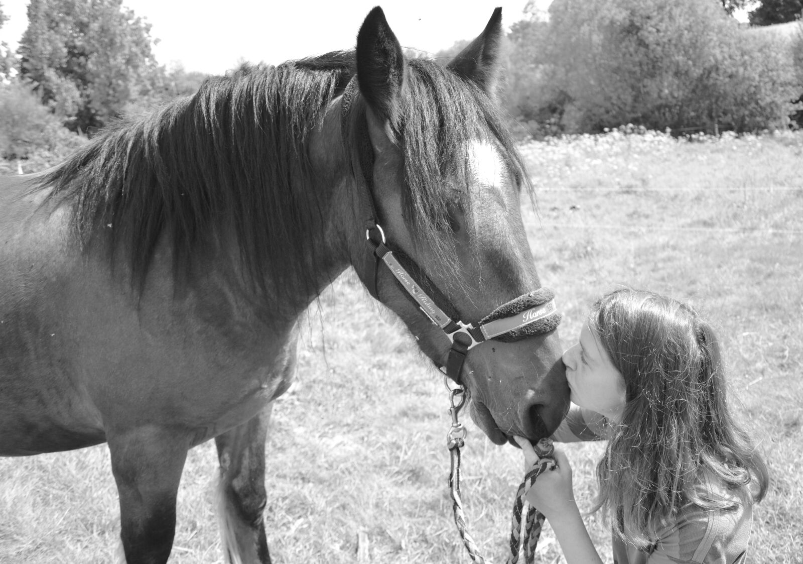 Nikon D5200 sample photo. Kiss, kisses, horse photography