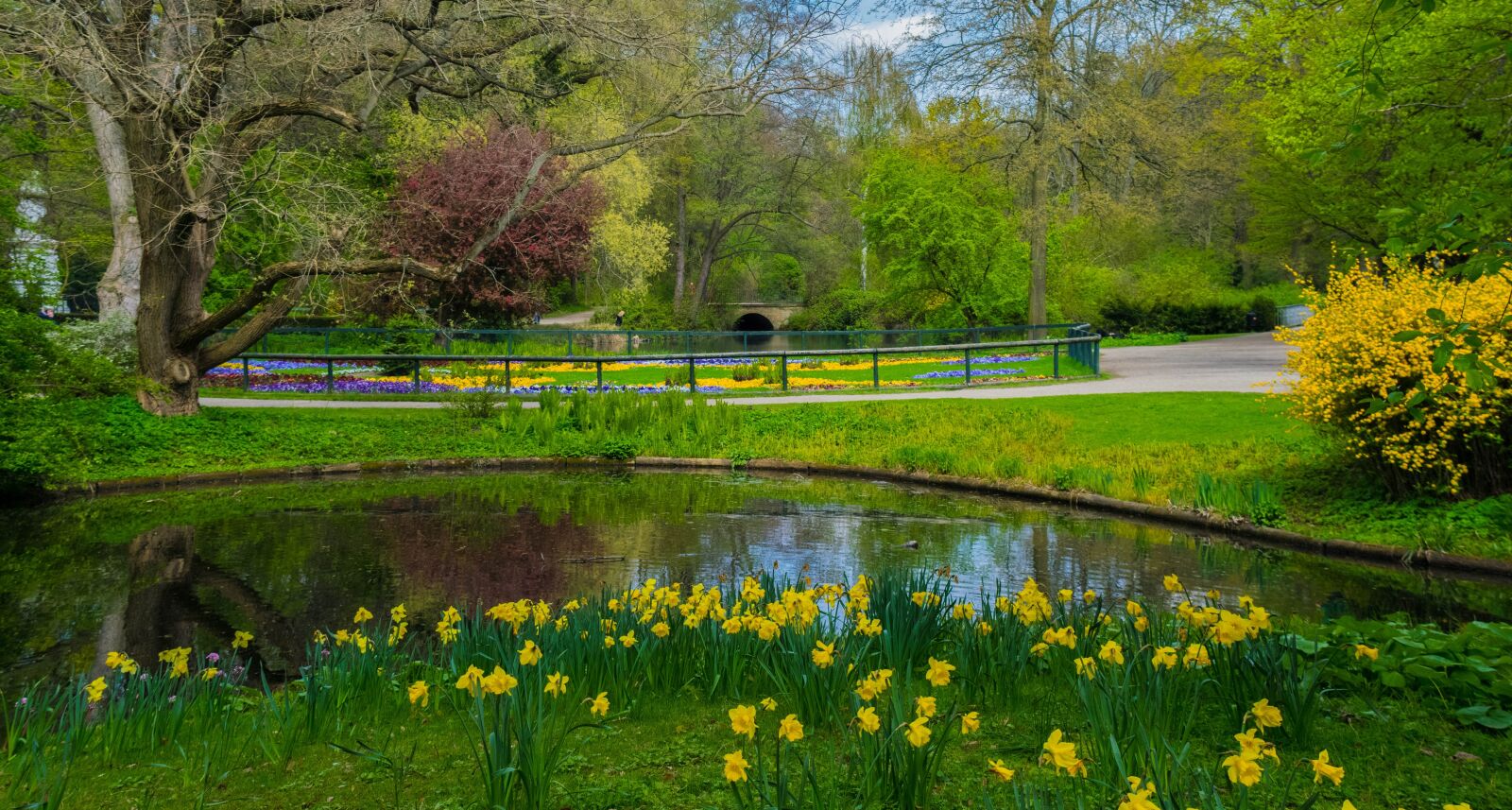 Nikon D3300 sample photo. Berlin, park, nature photography