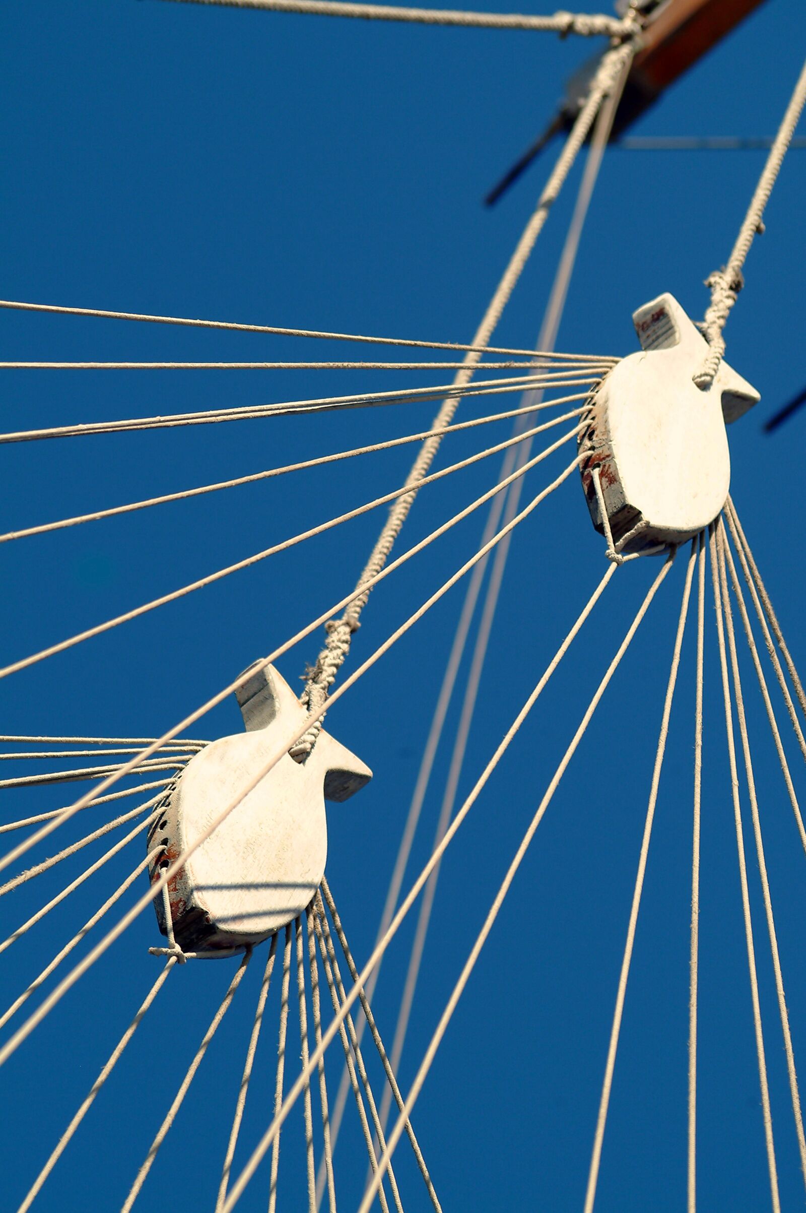 Nikon D3200 sample photo. Sailing, ropes, sailing boat photography