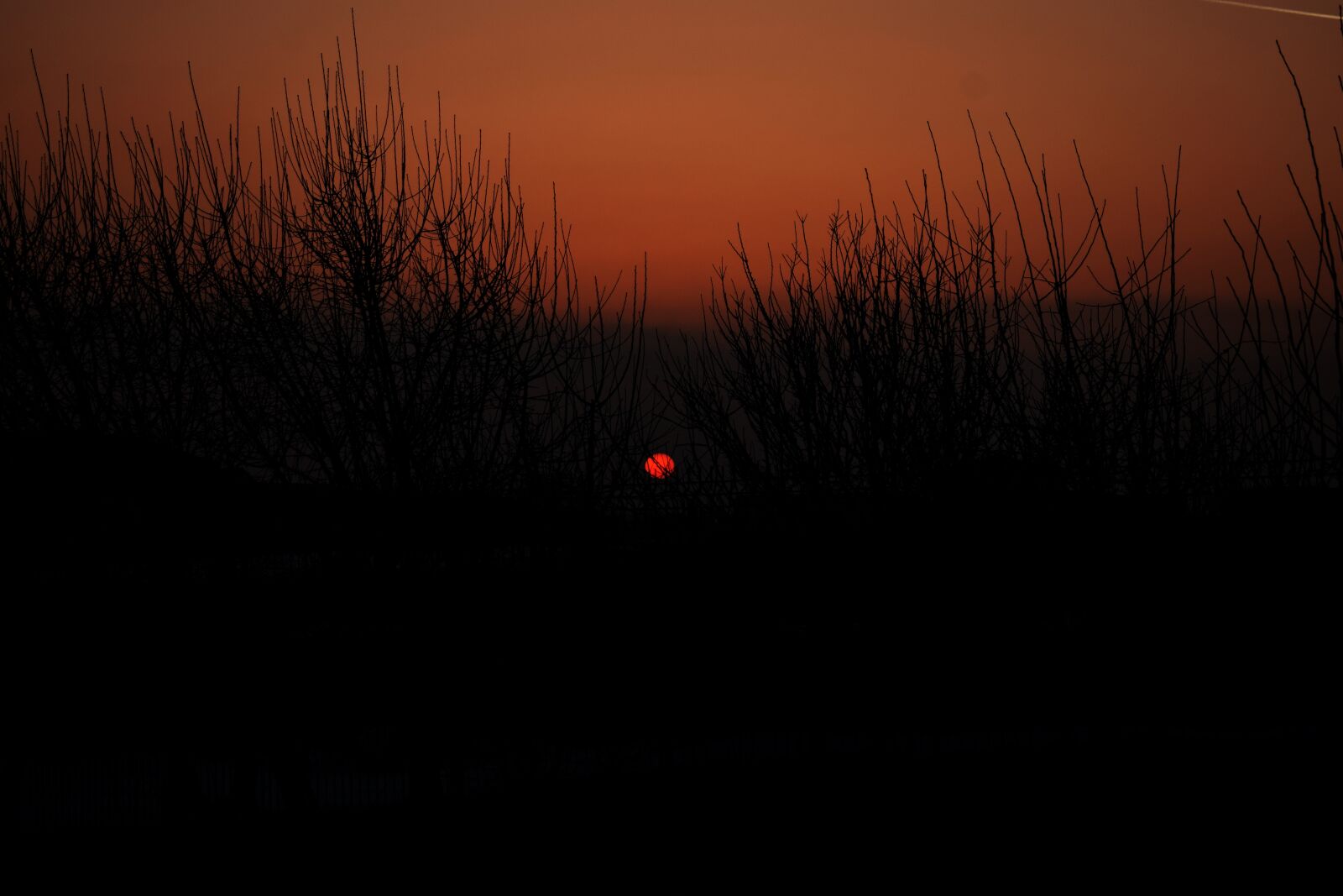 Nikon AF-P DX Nikkor 18-55mm F3.5-5.6G sample photo. Nature, nature, photography, sun photography