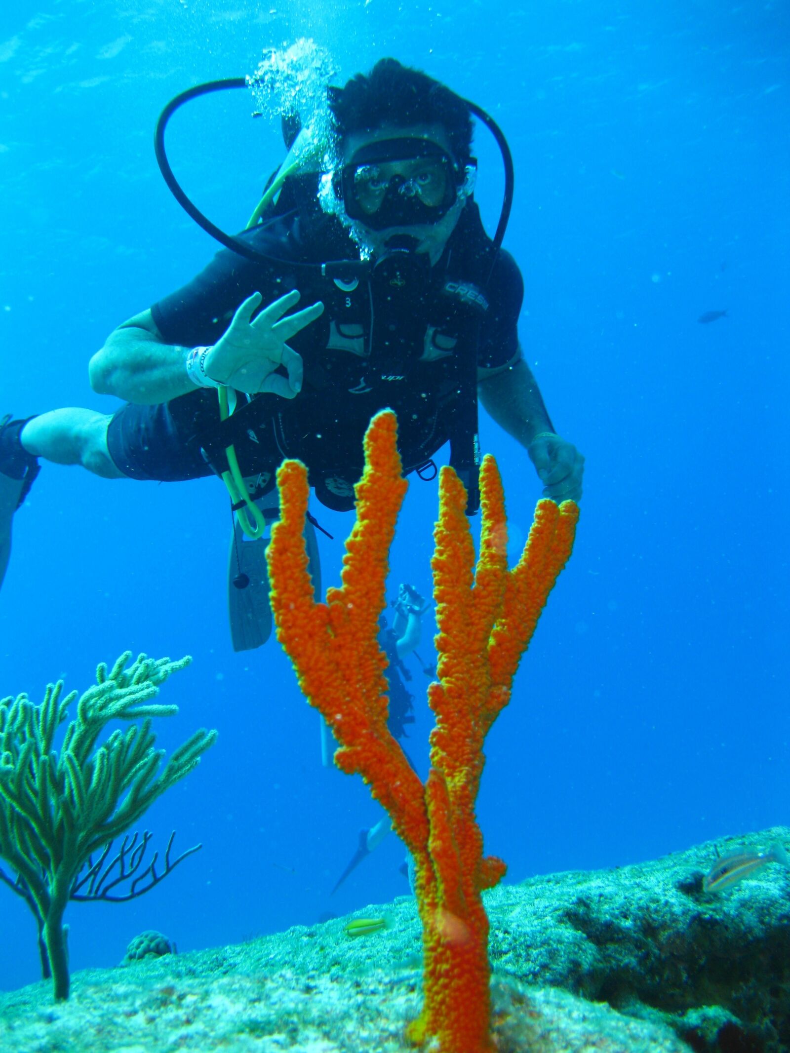 Canon PowerShot SD790 IS (Digital IXUS 90 IS / IXY Digital 95 IS) sample photo. Diver, undersea, sea photography