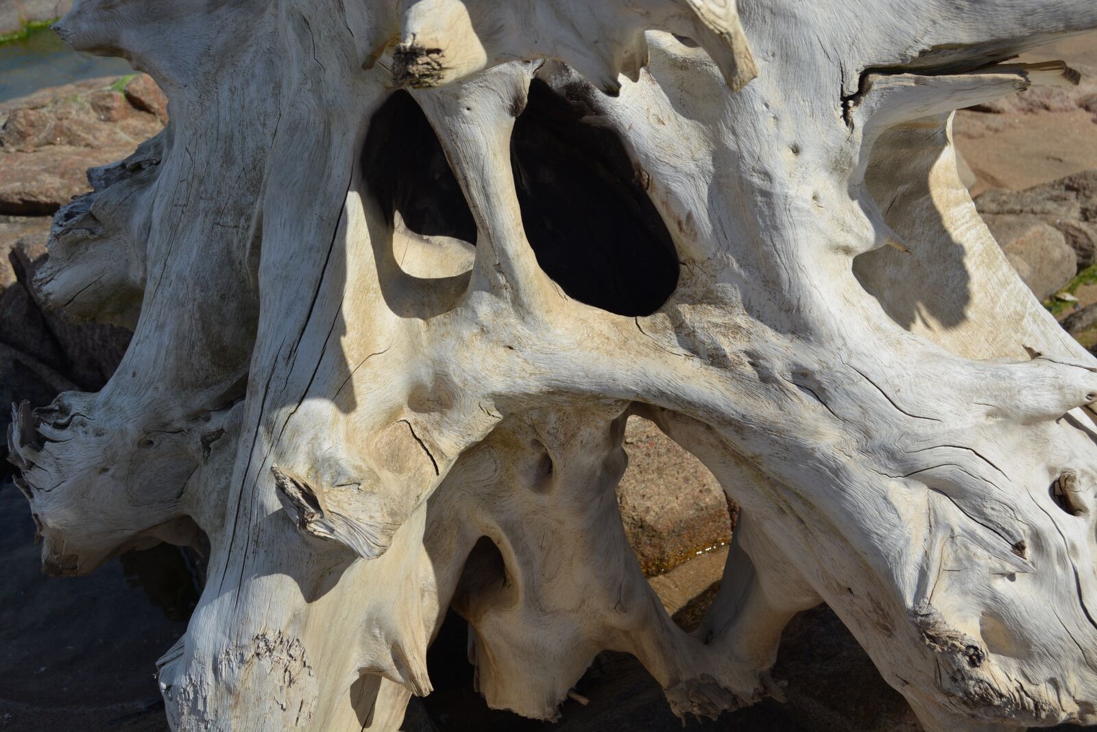 Nikon D5200 sample photo. Beach, wood, sea photography