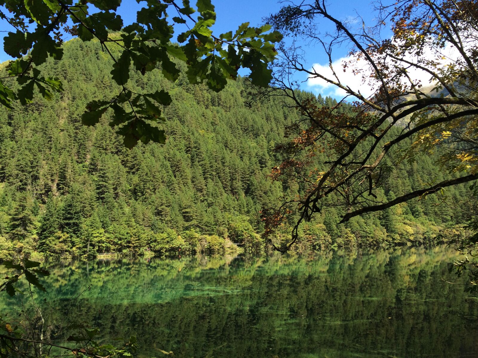 iPhone 5s back camera 4.15mm f/2.2 sample photo. 风景, 山, 九寨沟 photography