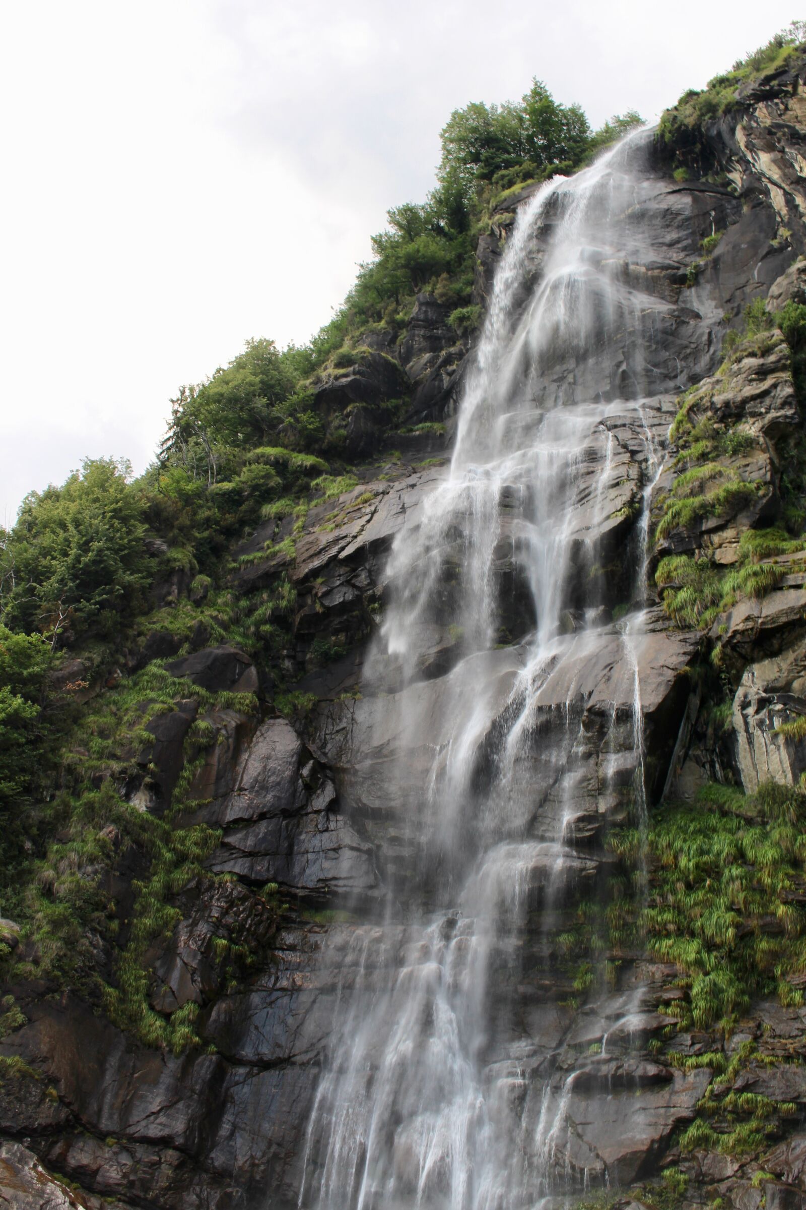 Canon EOS 700D (EOS Rebel T5i / EOS Kiss X7i) sample photo. Blue, water, evergreen, green photography