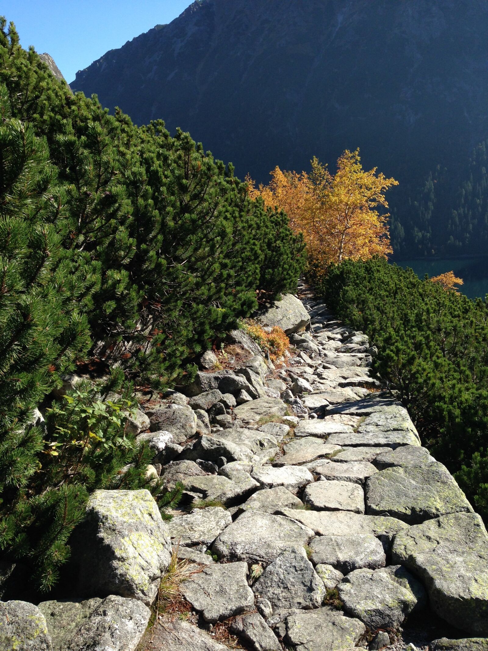 iPhone 5c back camera 4.12mm f/2.4 sample photo. Mountains, tatry, trail photography