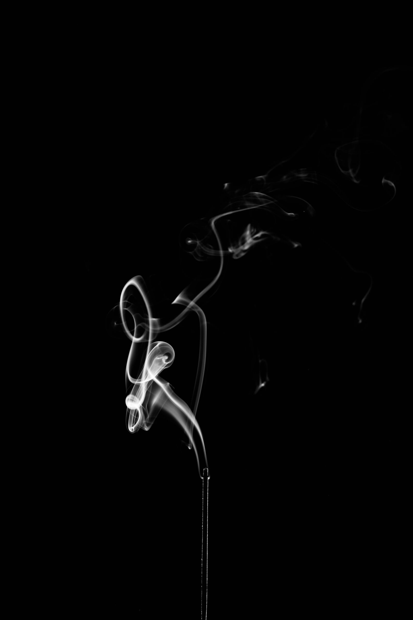 Canon EOS 700D (EOS Rebel T5i / EOS Kiss X7i) + Canon EF 50mm F1.8 II sample photo. Background, darkness, isolated photography