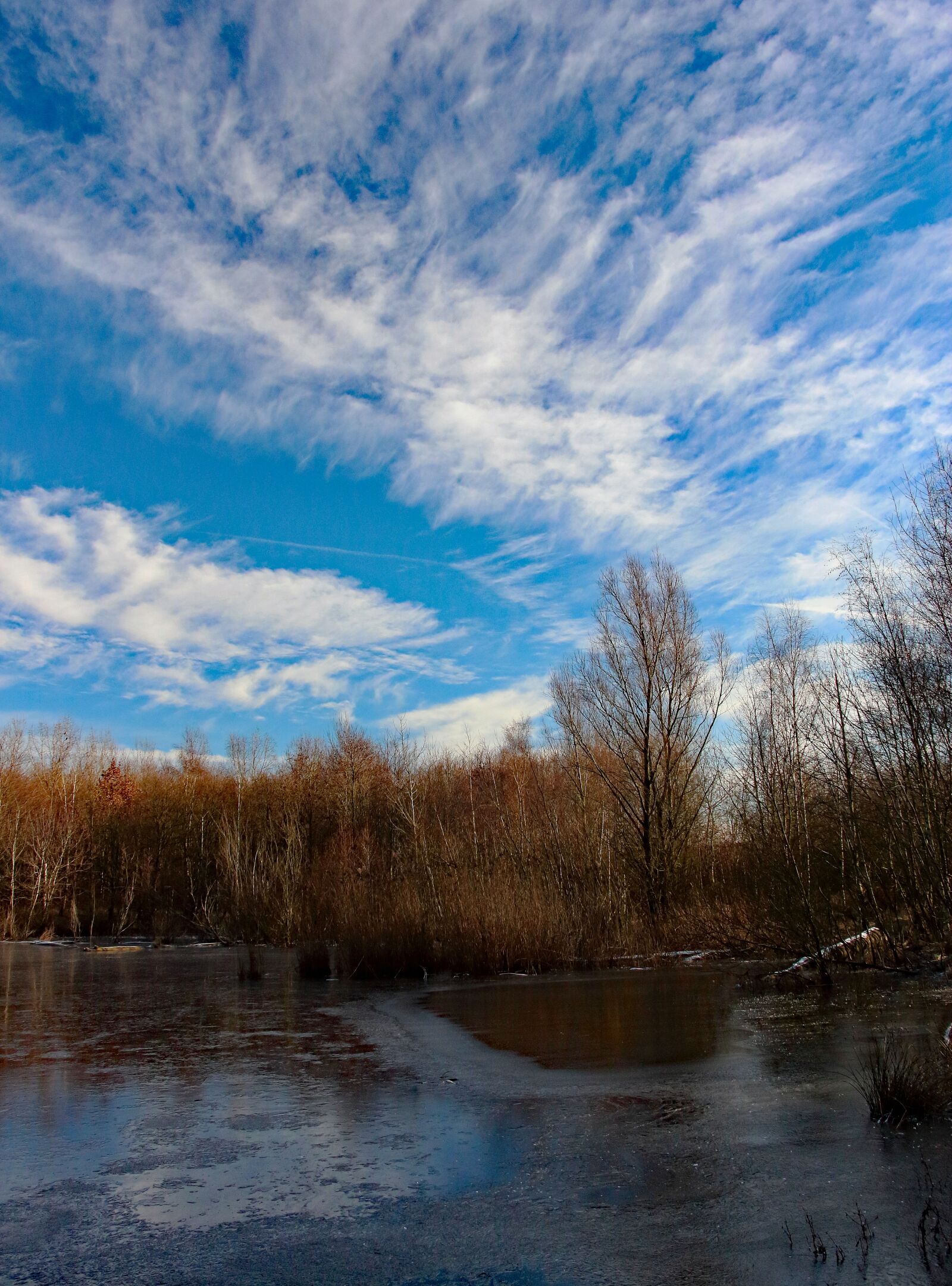 Canon EOS 700D (EOS Rebel T5i / EOS Kiss X7i) sample photo. Lake, frozen, winter photography