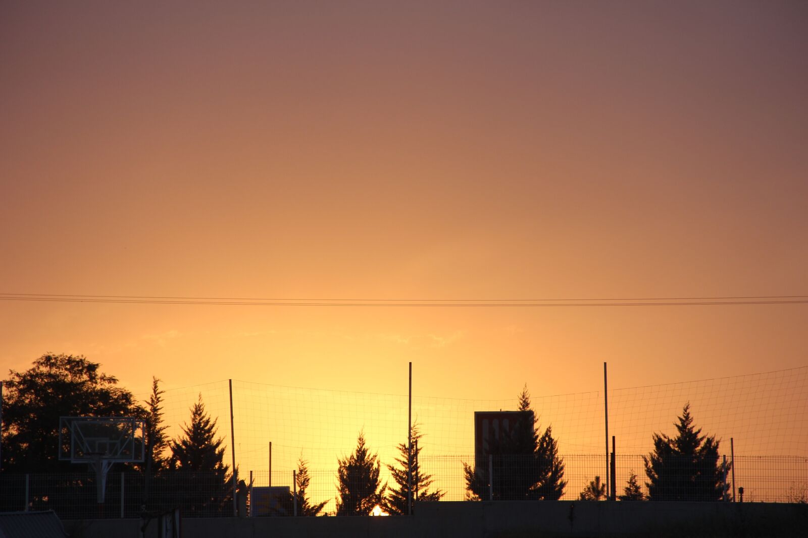 Canon EF-S 18-135mm F3.5-5.6 IS sample photo. Sunset, tree, amazing photography